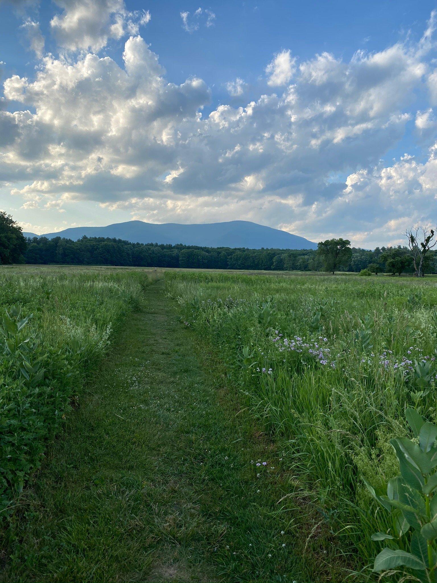 Catskill Center Thorn Preserve