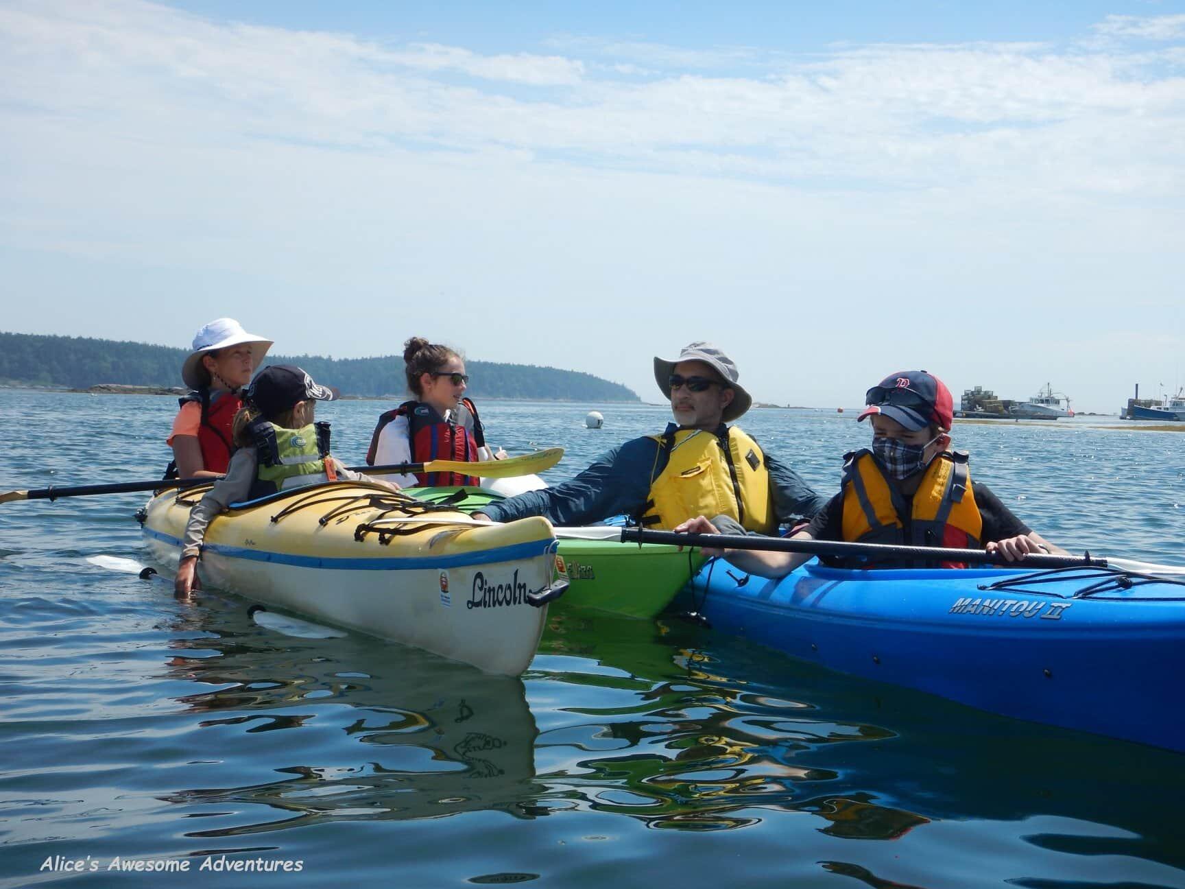 Alice's Awesome Adventures