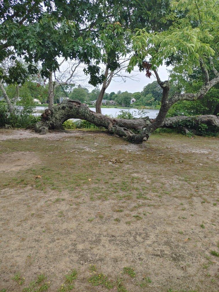 Photo by TheFiveRoadTrippers