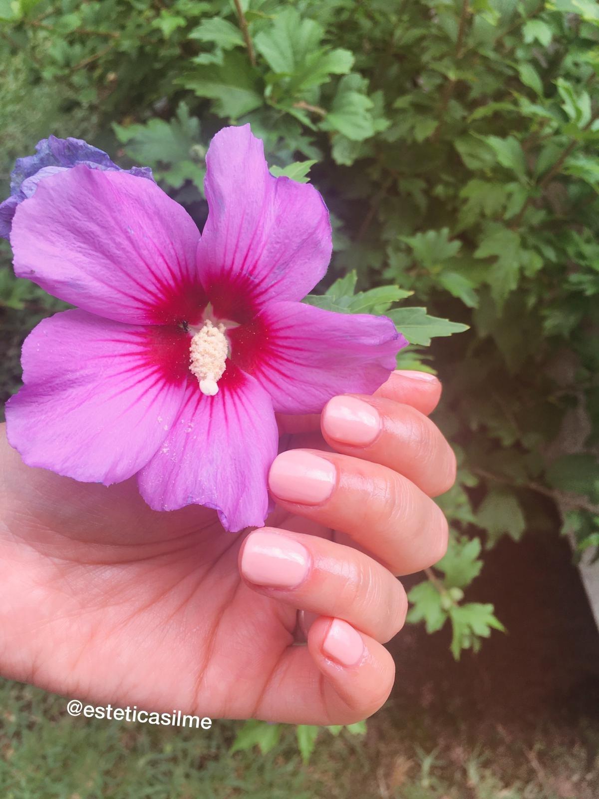 Silme Estetica & Quiromasaje