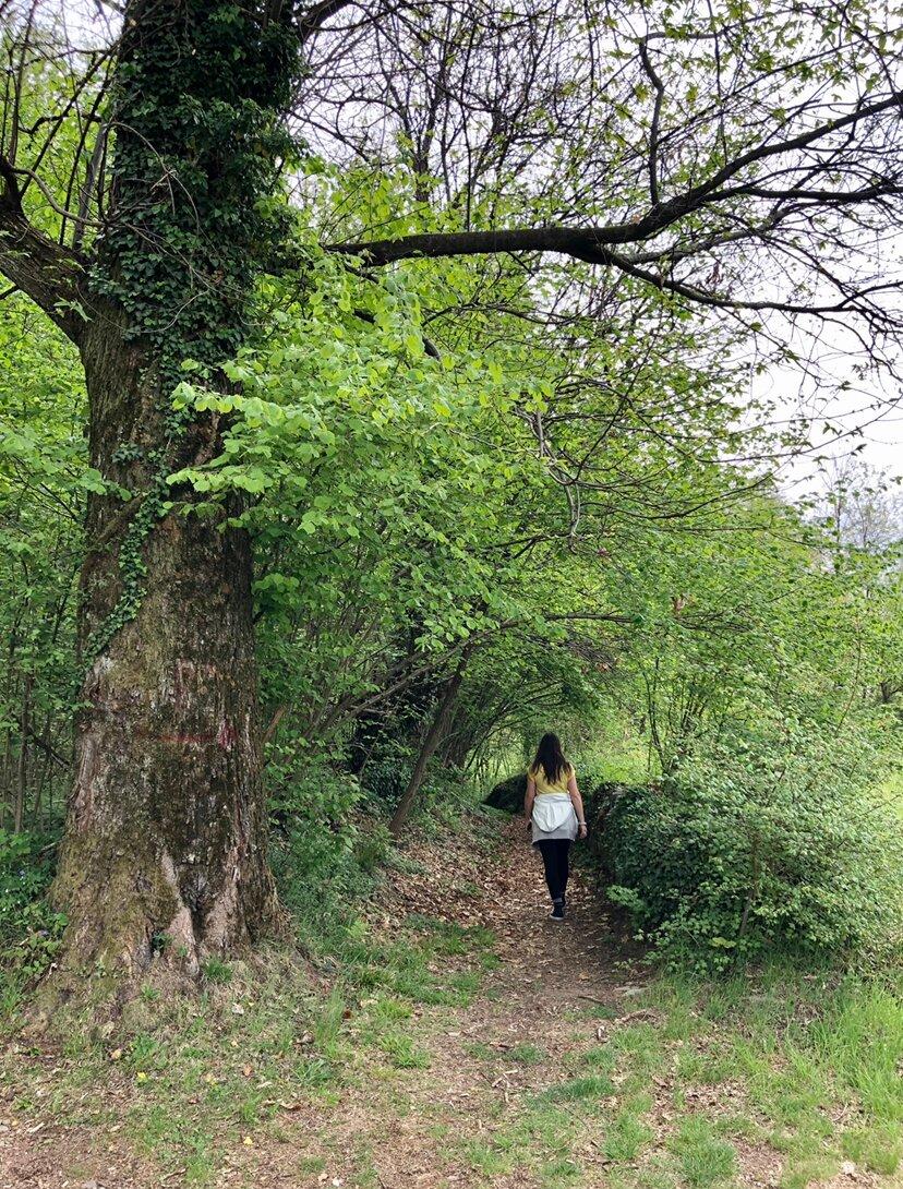 Sentiero Dal Gattirolo A Gaté