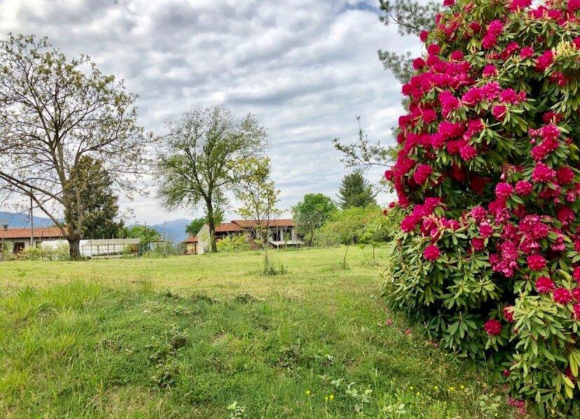 Sentiero Per Via Ronchetto