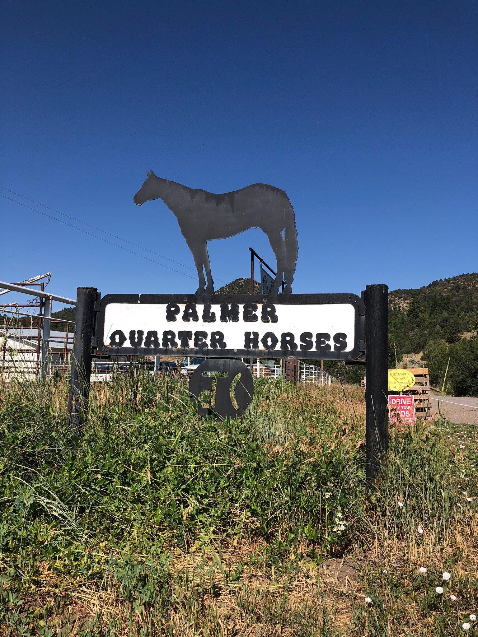 Palmer Quarter Horses