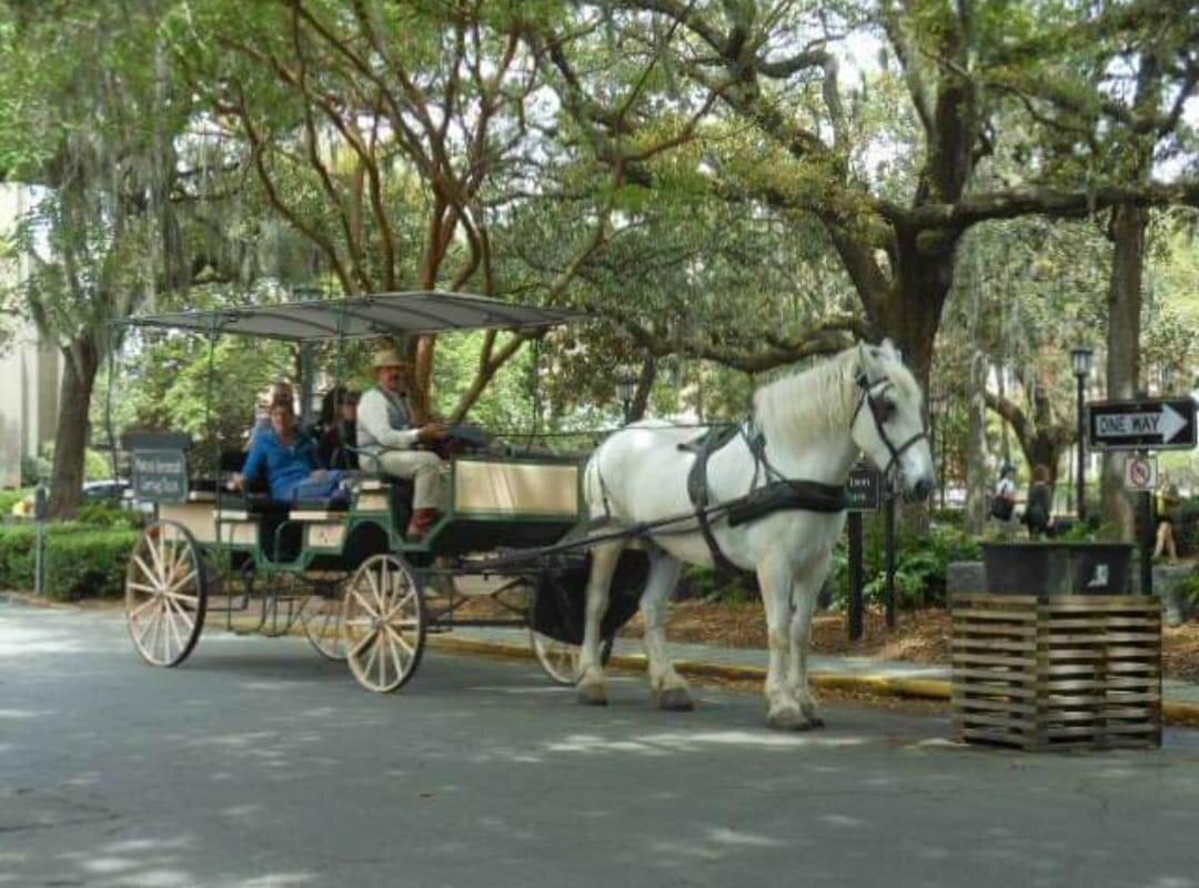 Historic Savannah Carriage Tours