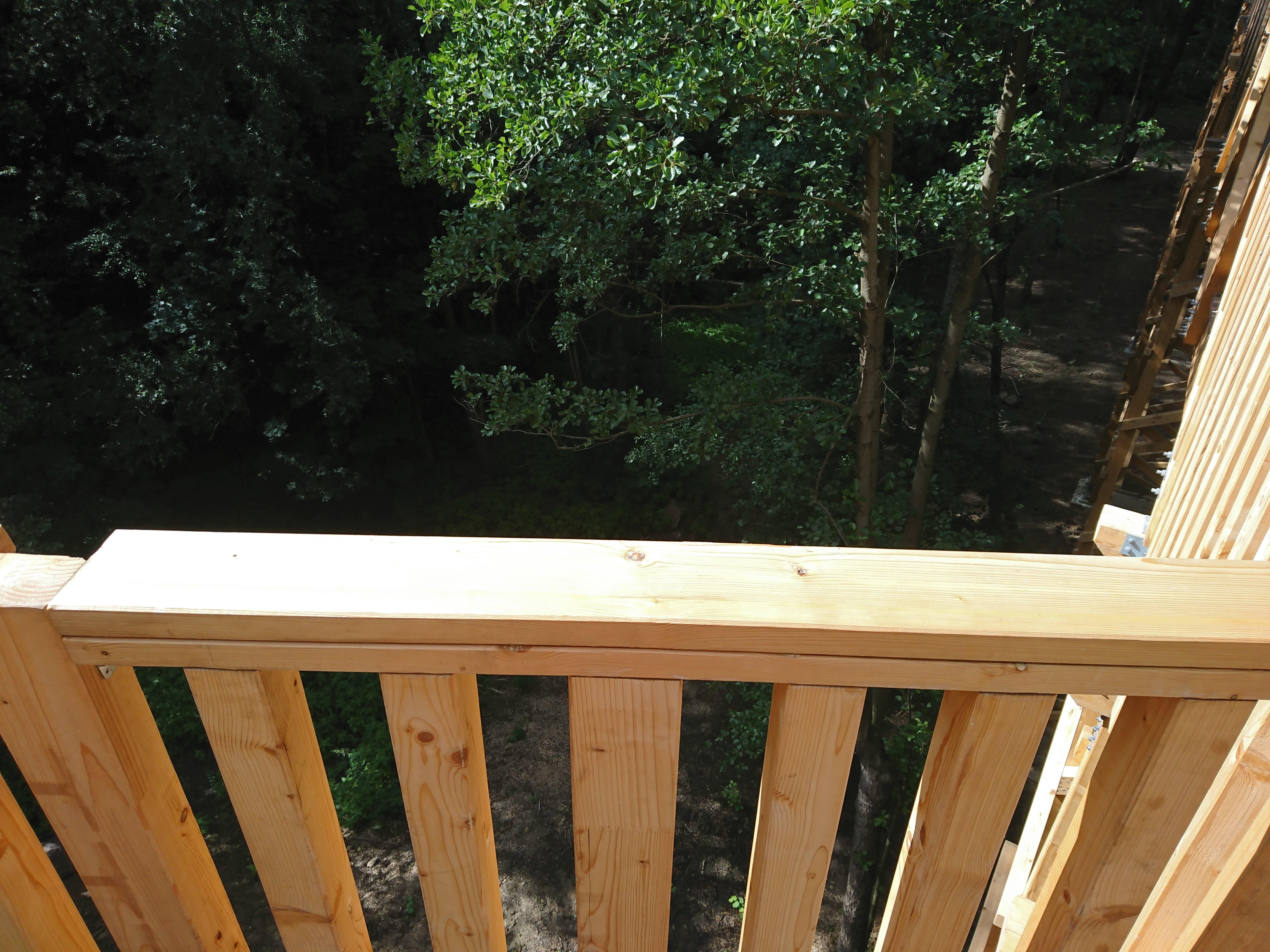 Ścieżka w koronach drzew