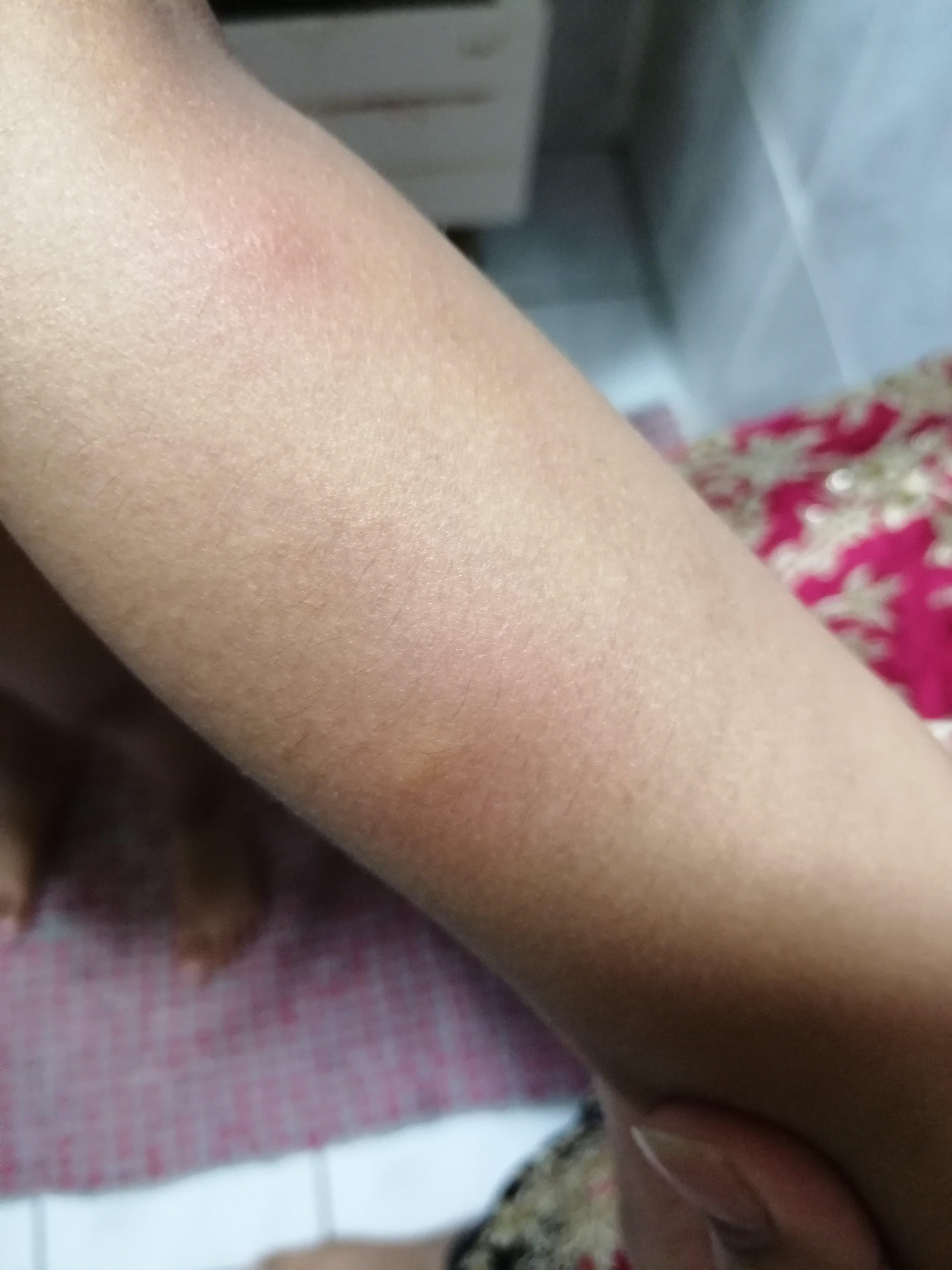 Apartment Ehrenbreitstein