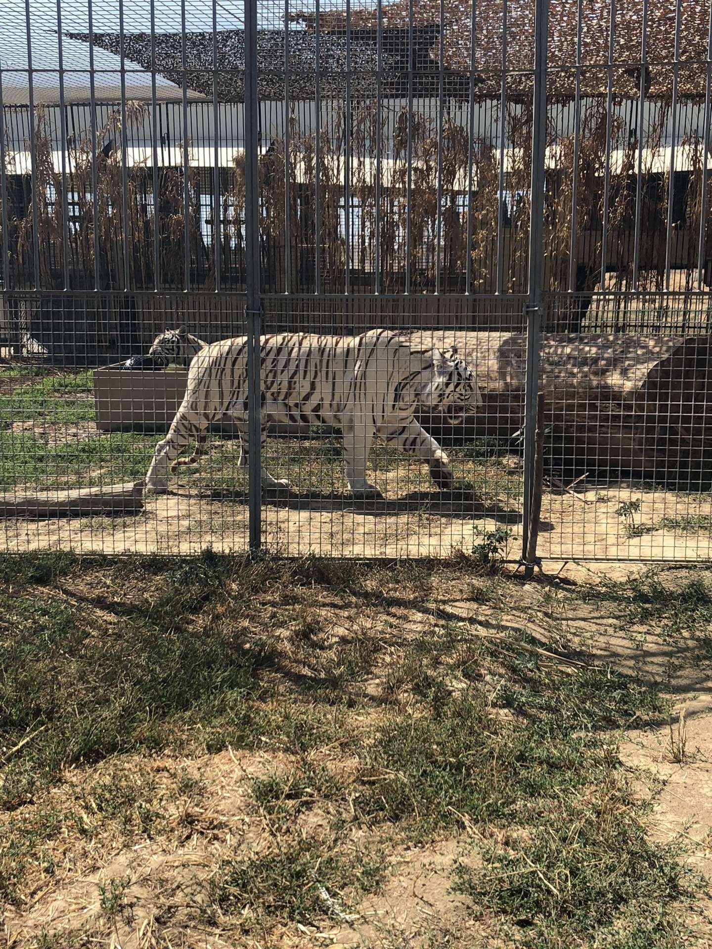 JUNGLE PARC de Camargue