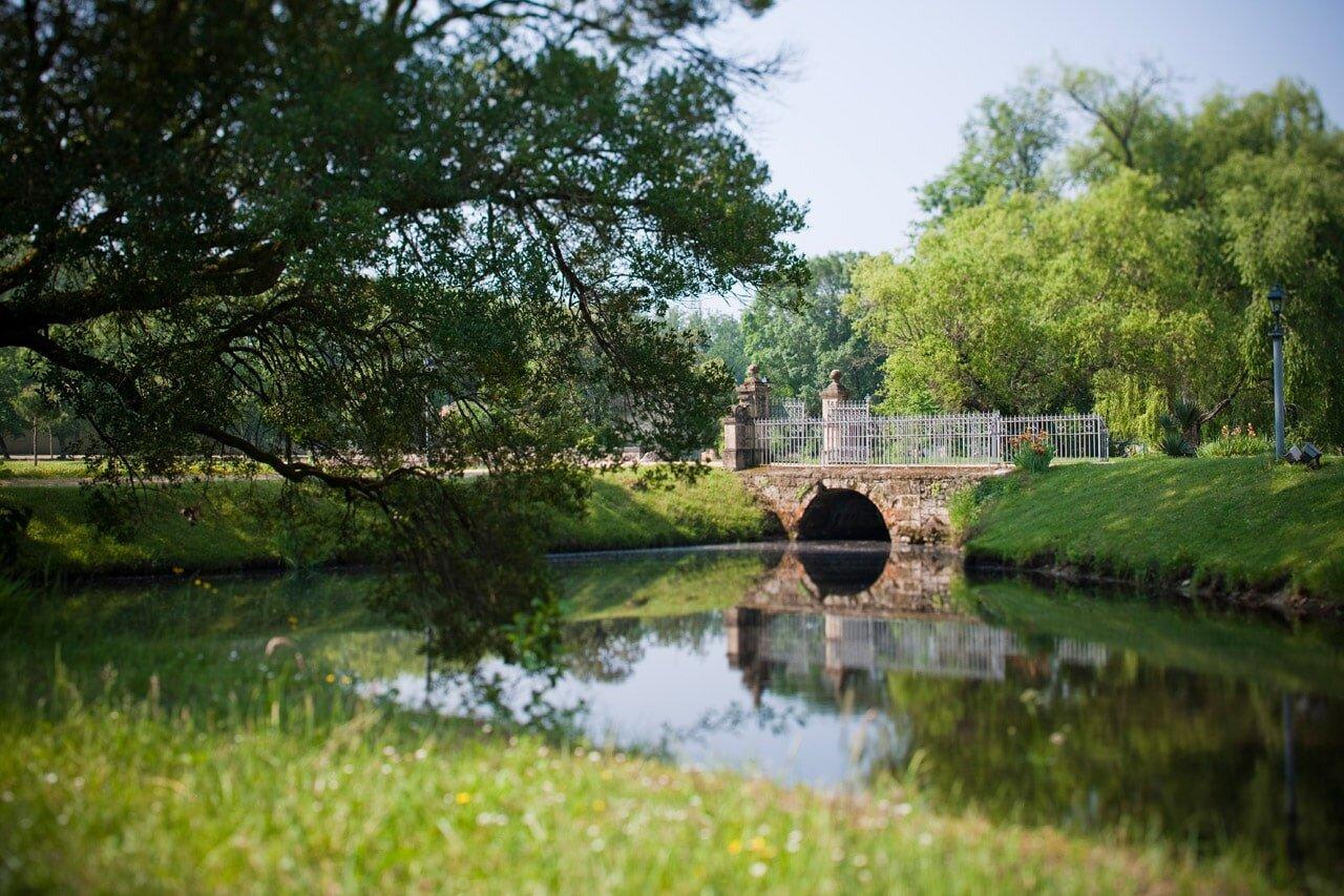 Alice au pays des Paons