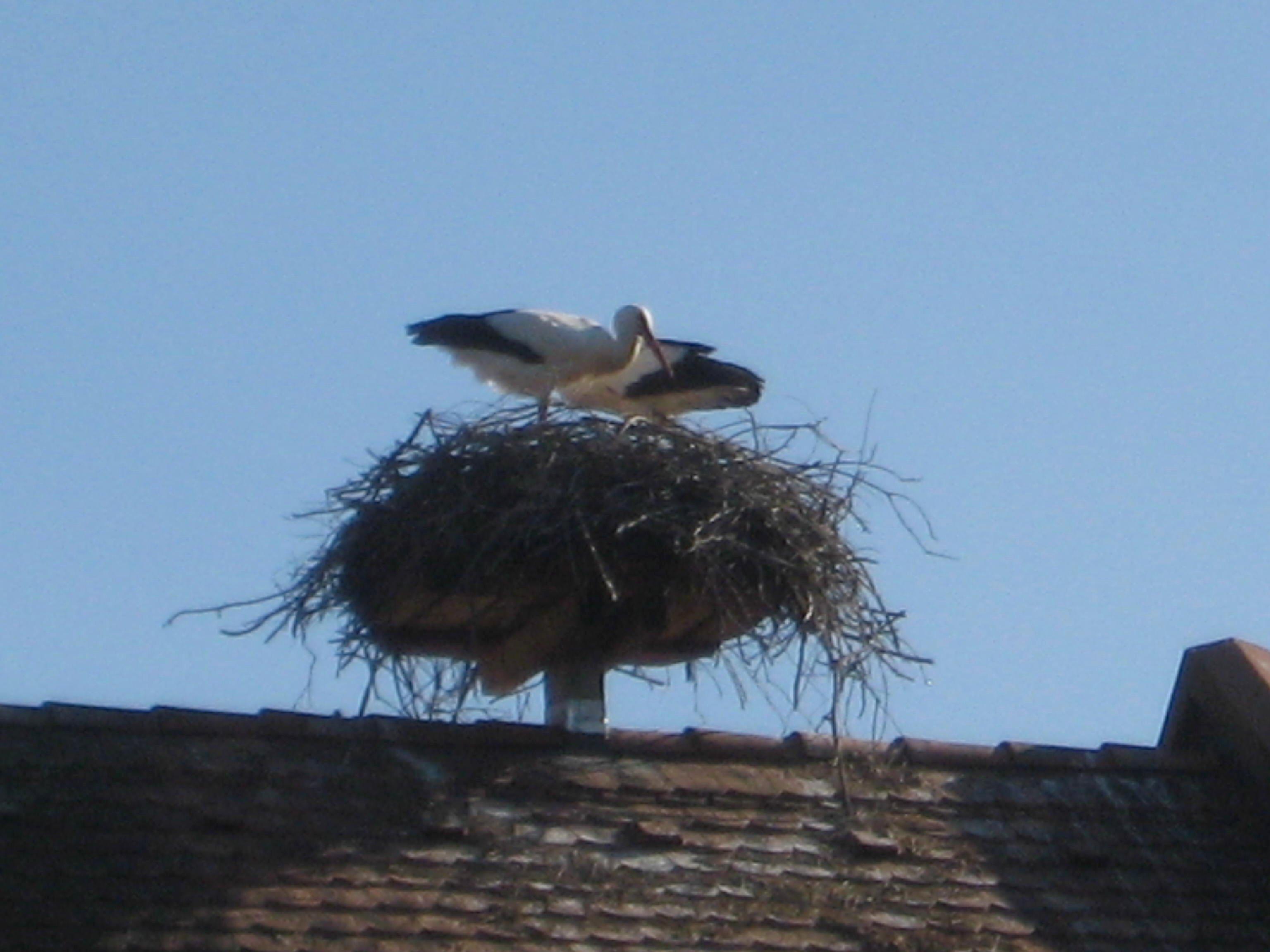 Hofgut Kirschbacherhof