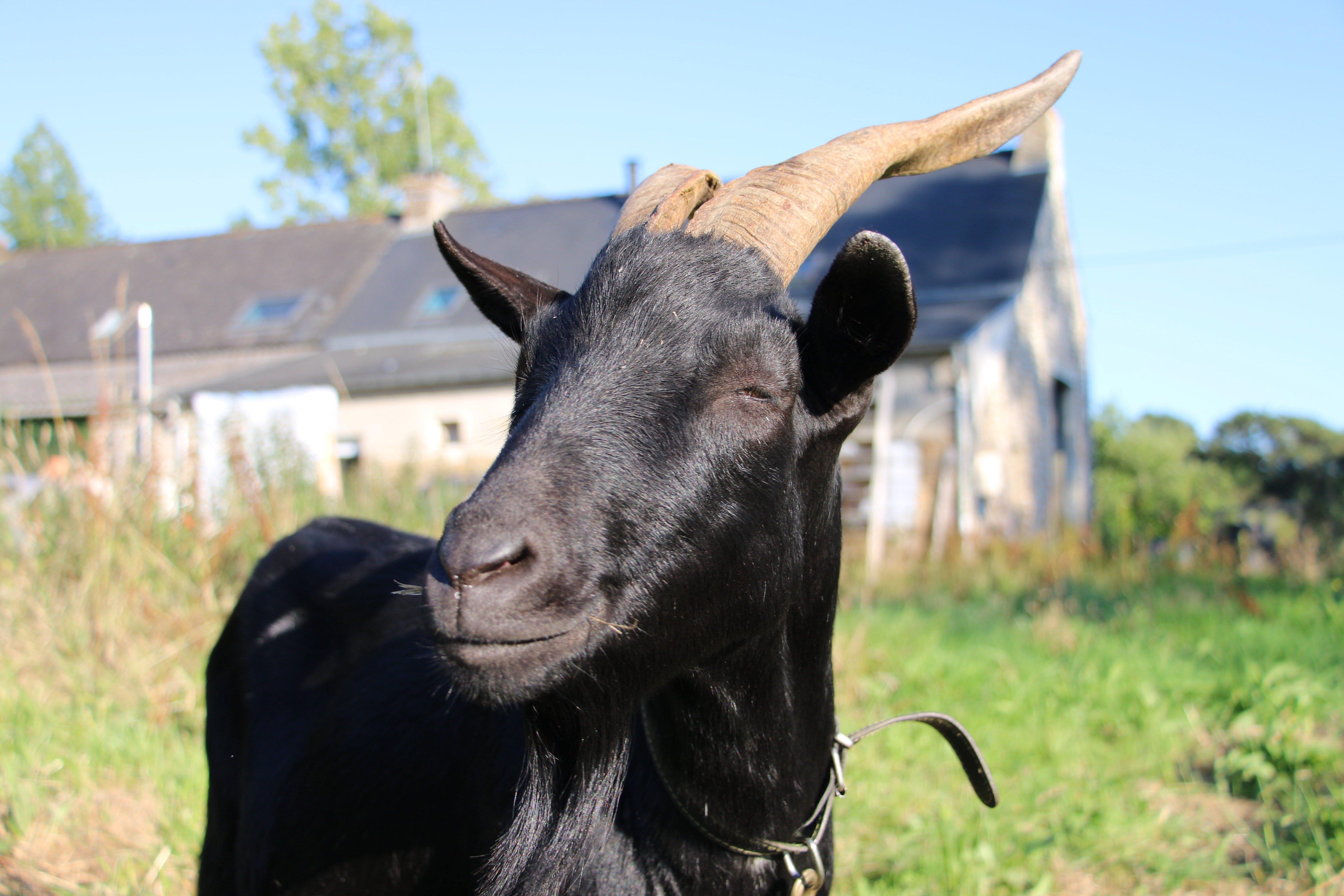 Ferme Bio De Kerdelam