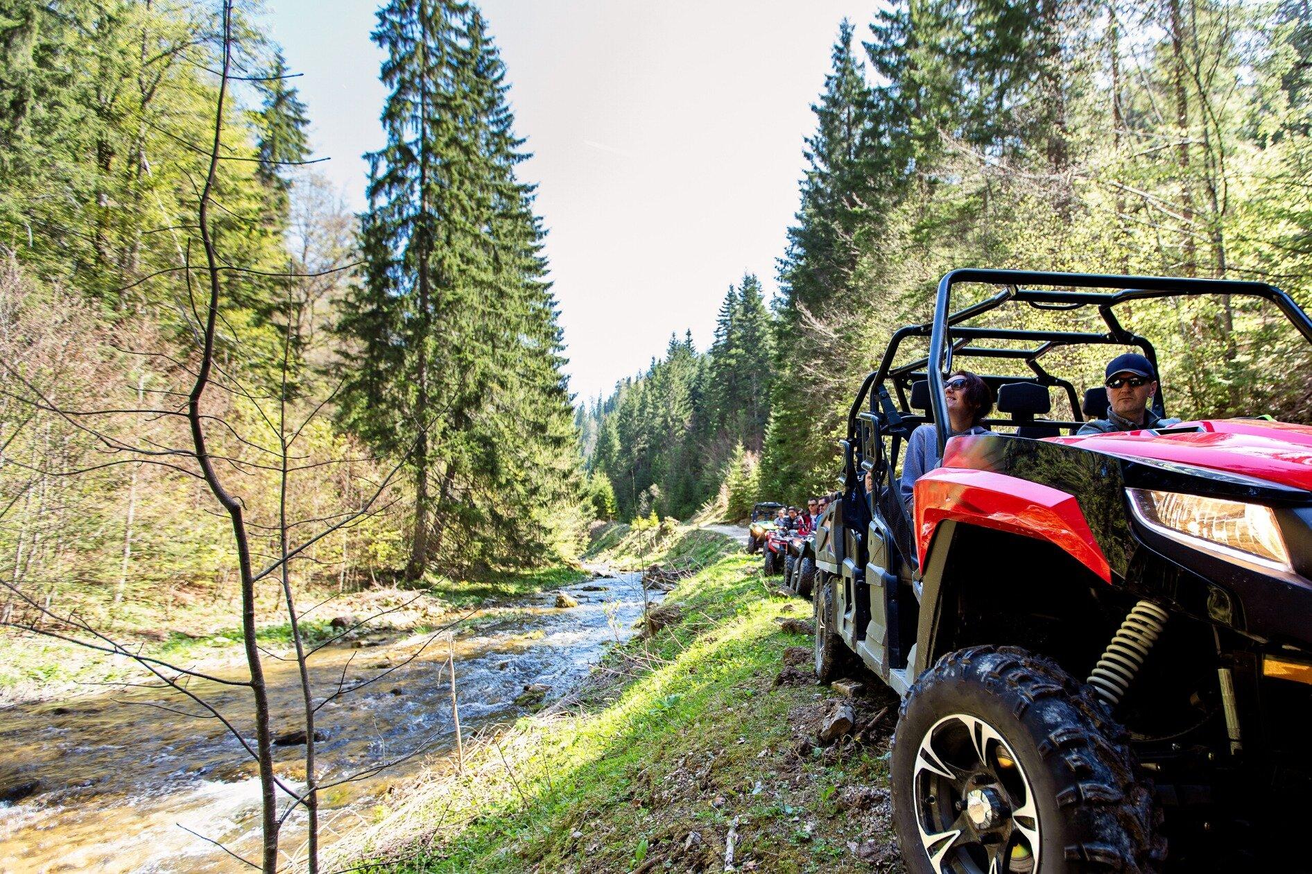 Harrison Lake Nature Adventure