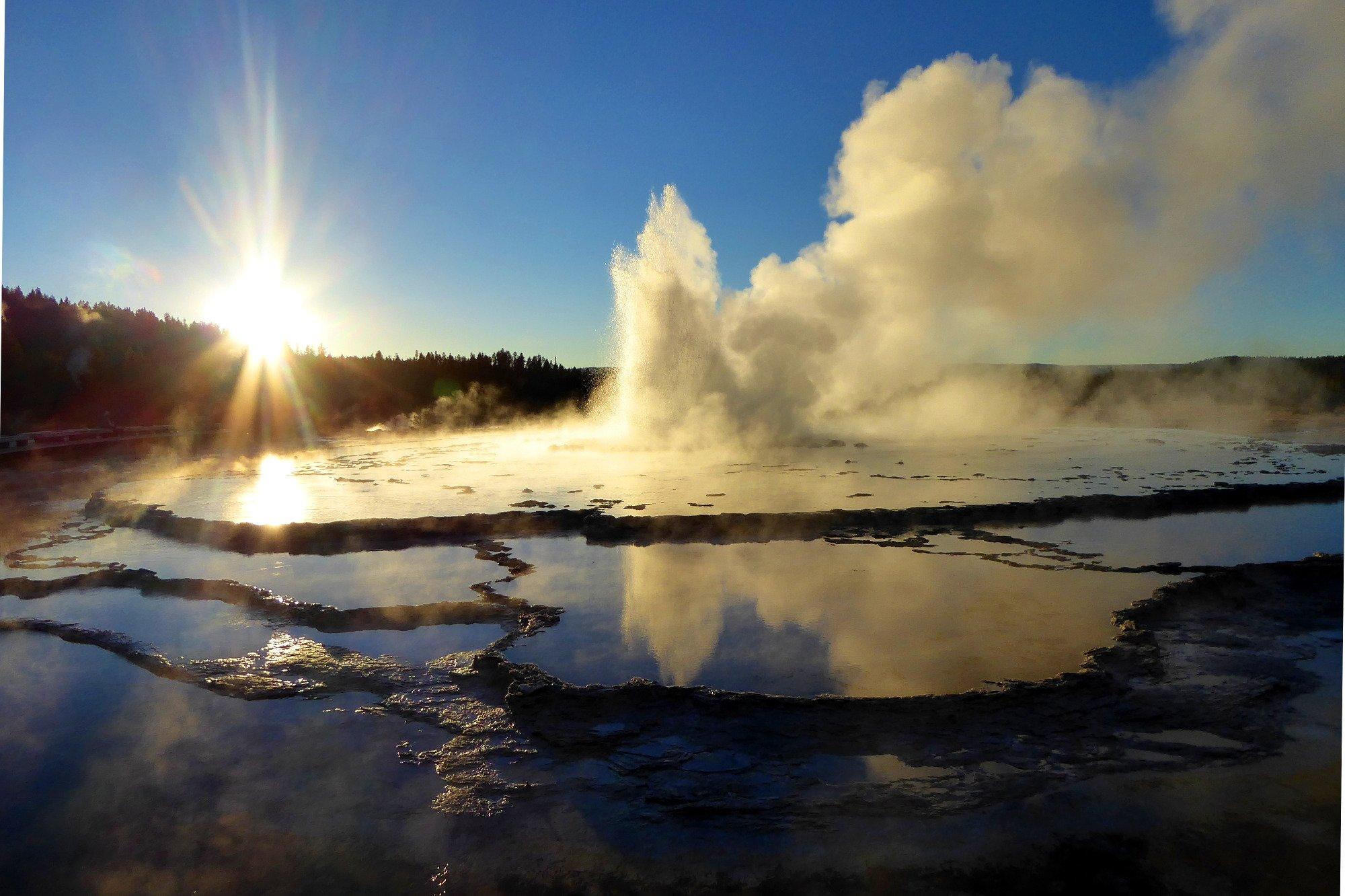 Walking Shadow Ecology Tours of Yellowstone