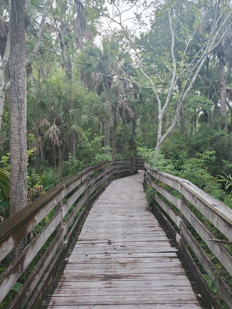 Scipio Creek Boardwalk