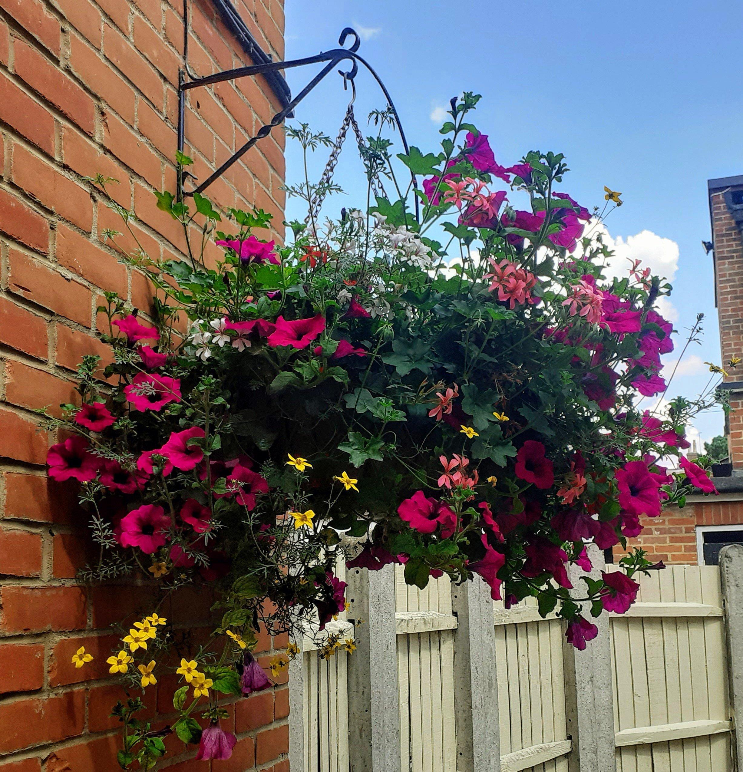 The Battesford Court