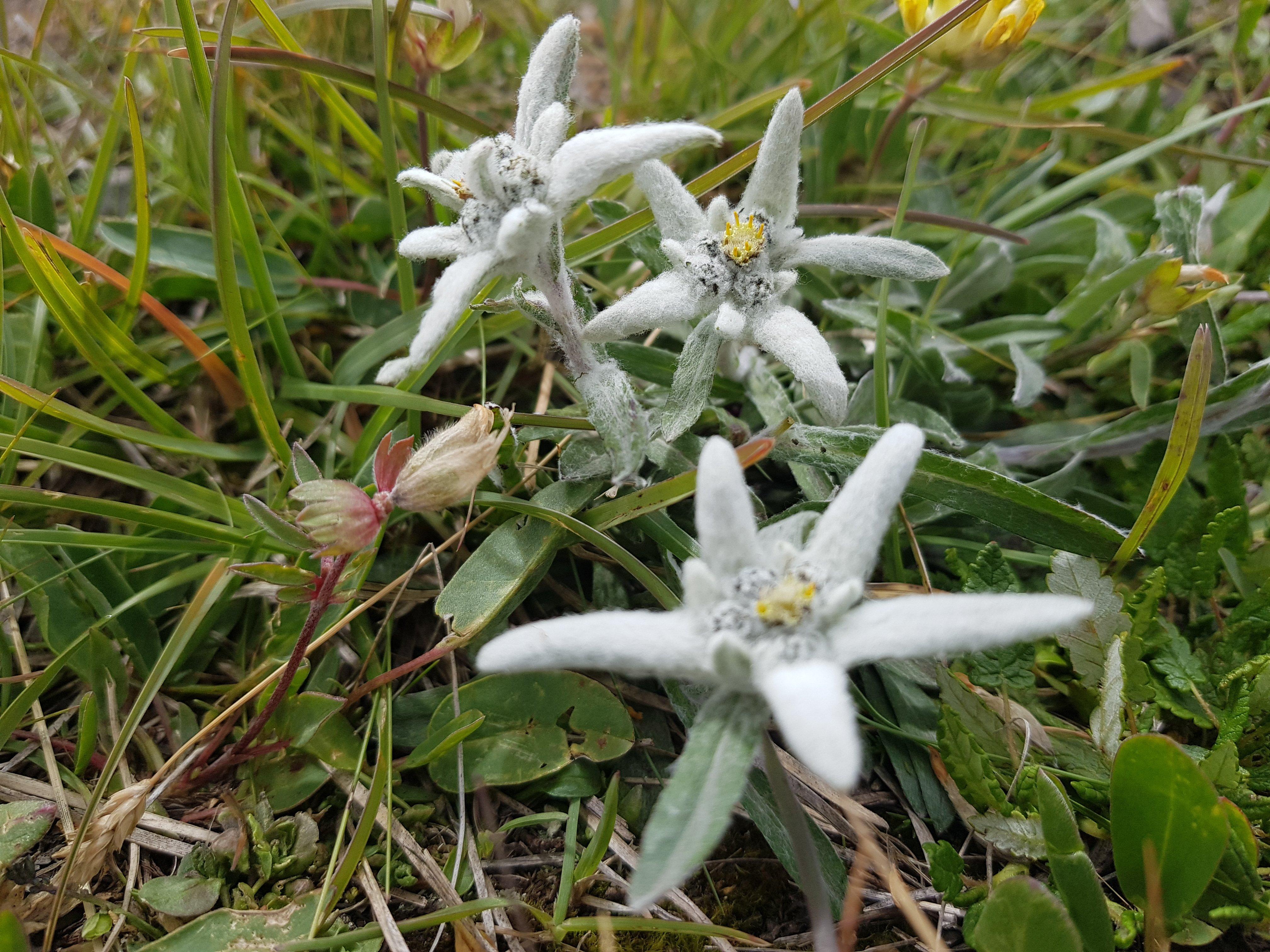 Appartamenti Raggio Di Sole