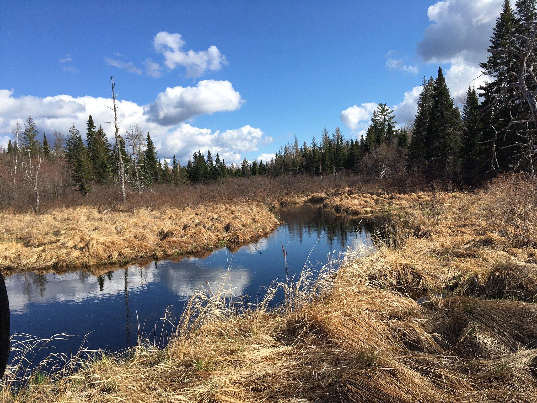 Pioneer Lodge & Log Cabins