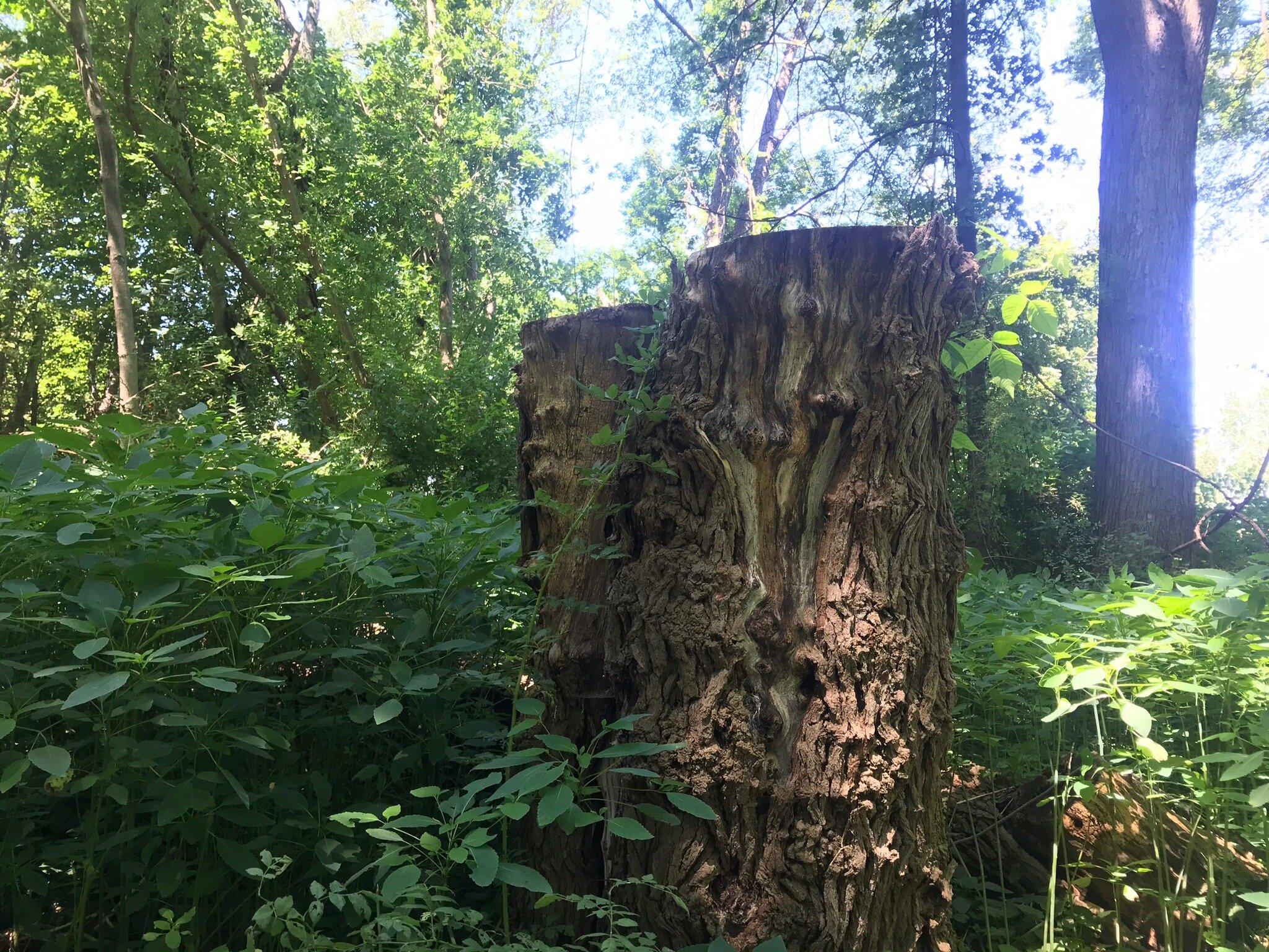 Lakeshore Reservation