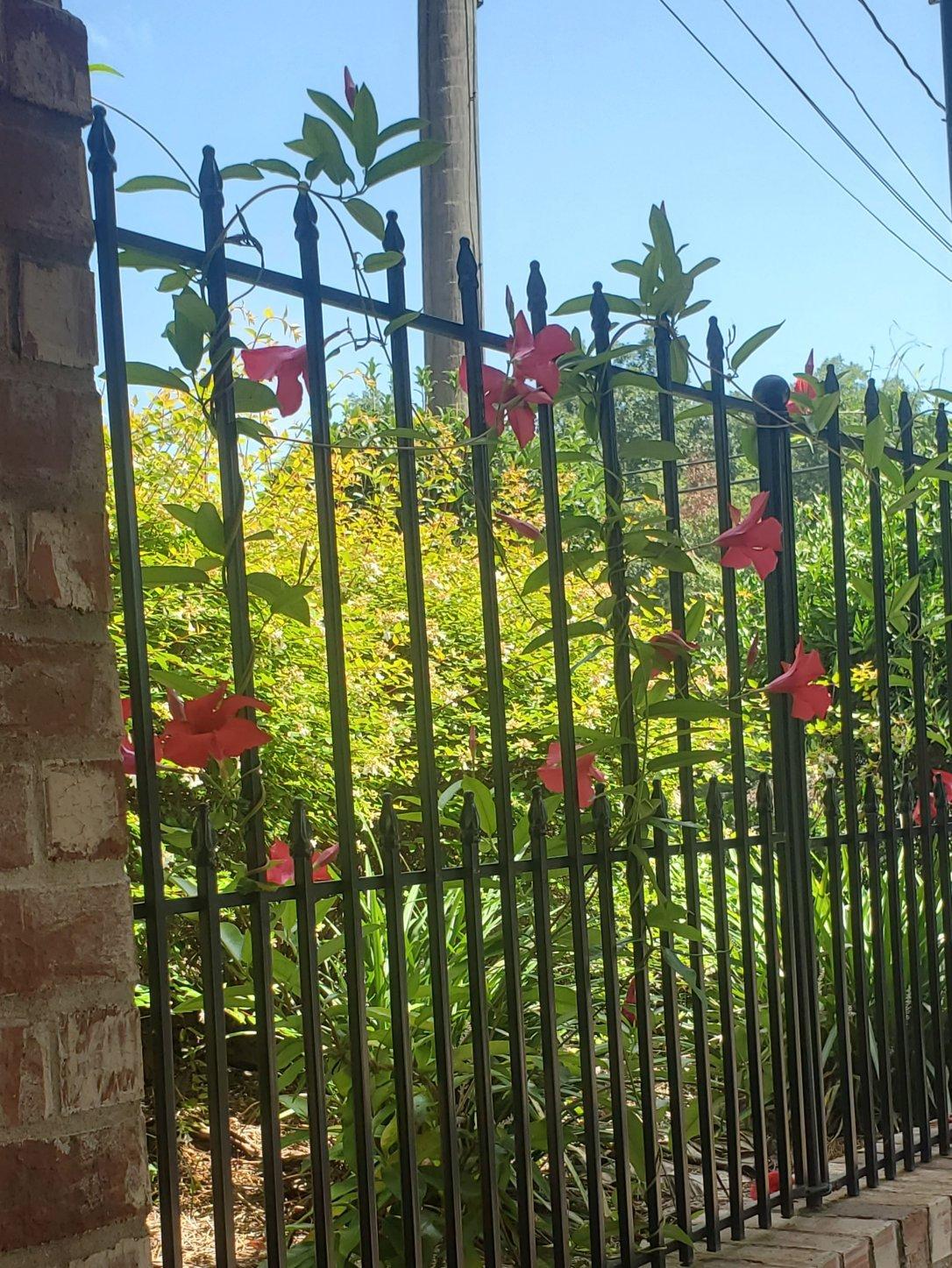 Photo by inFlightFun