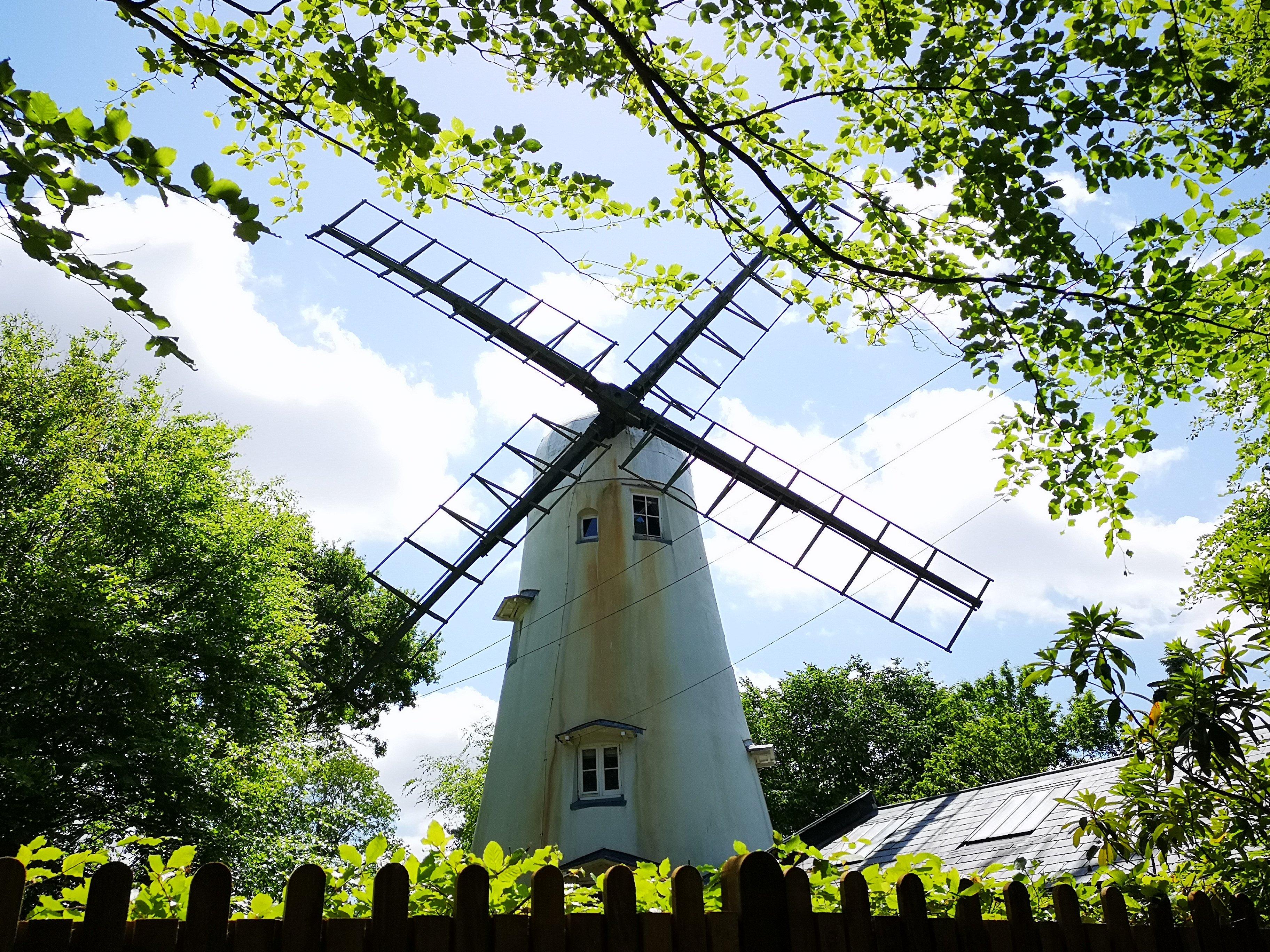 Hurtwood & Pitchhill Walk