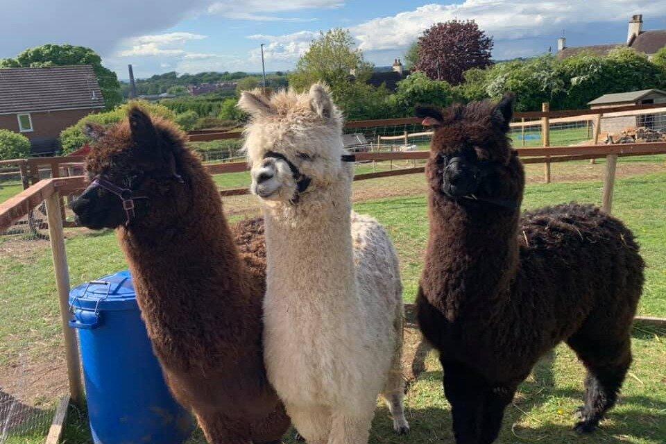 Sedgley Adventure Centre