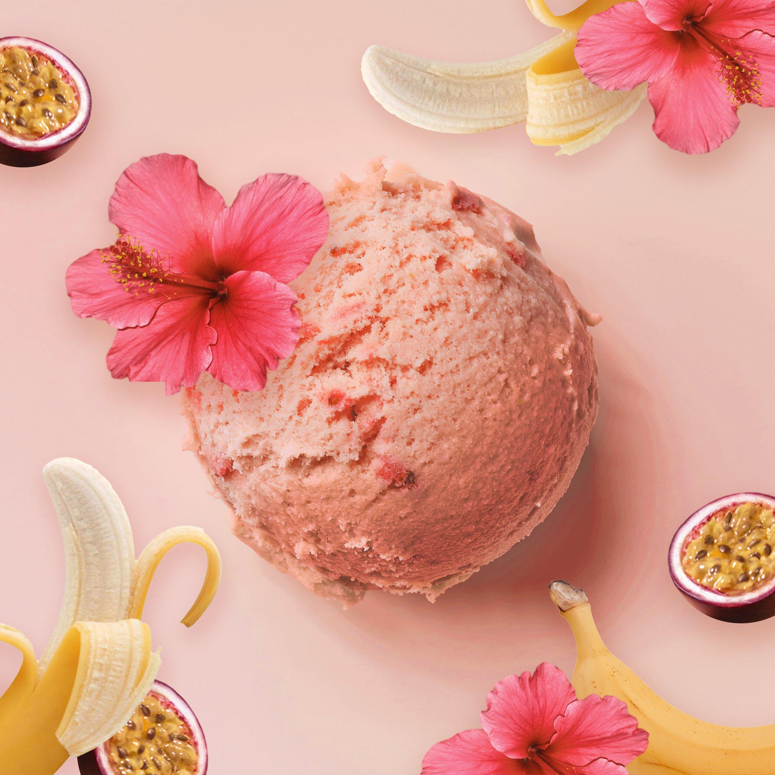 Glaglagla - Glacier Toqué - Toulouse