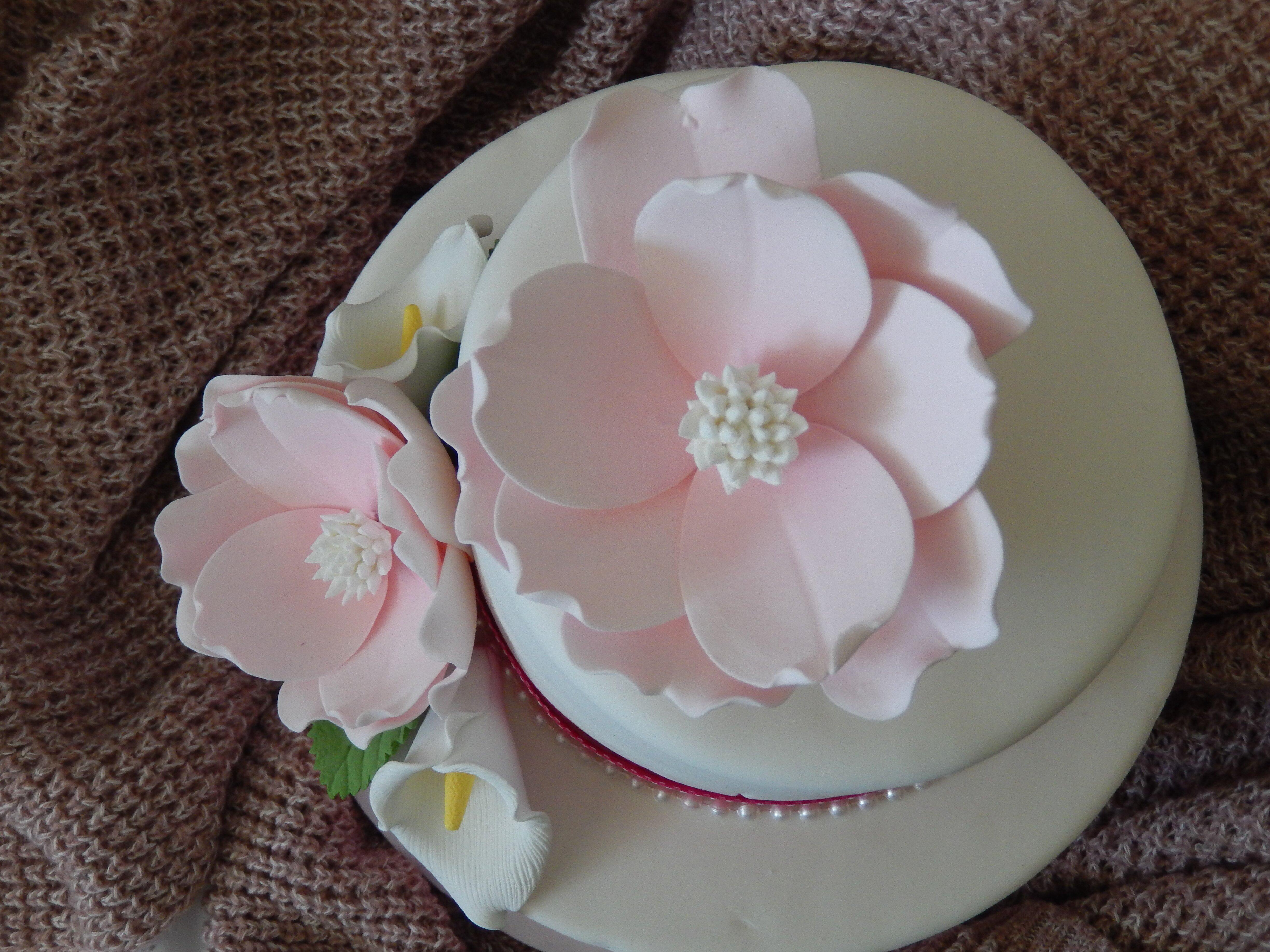 Cake Expressions, Inc.