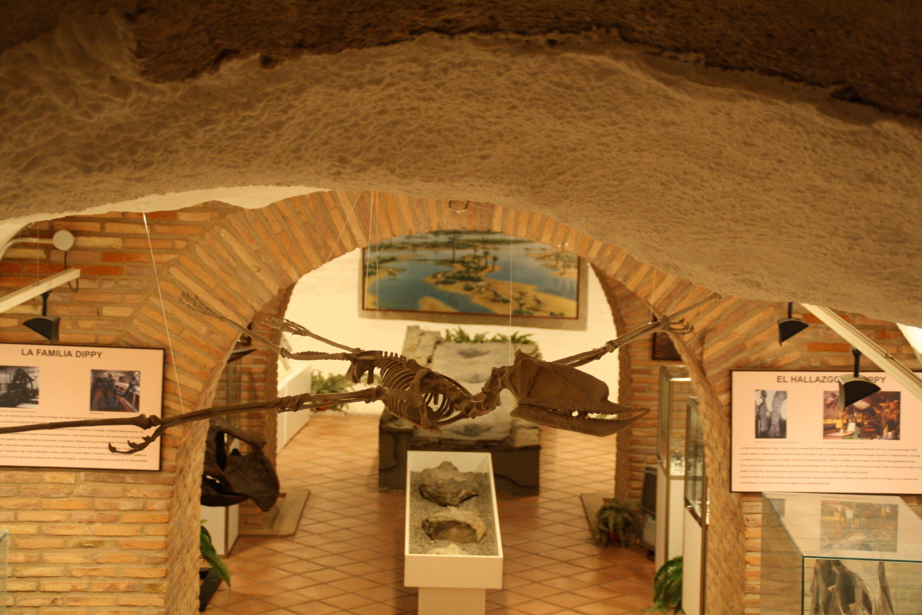 Museo de Ciencias Naturales de Arnedo