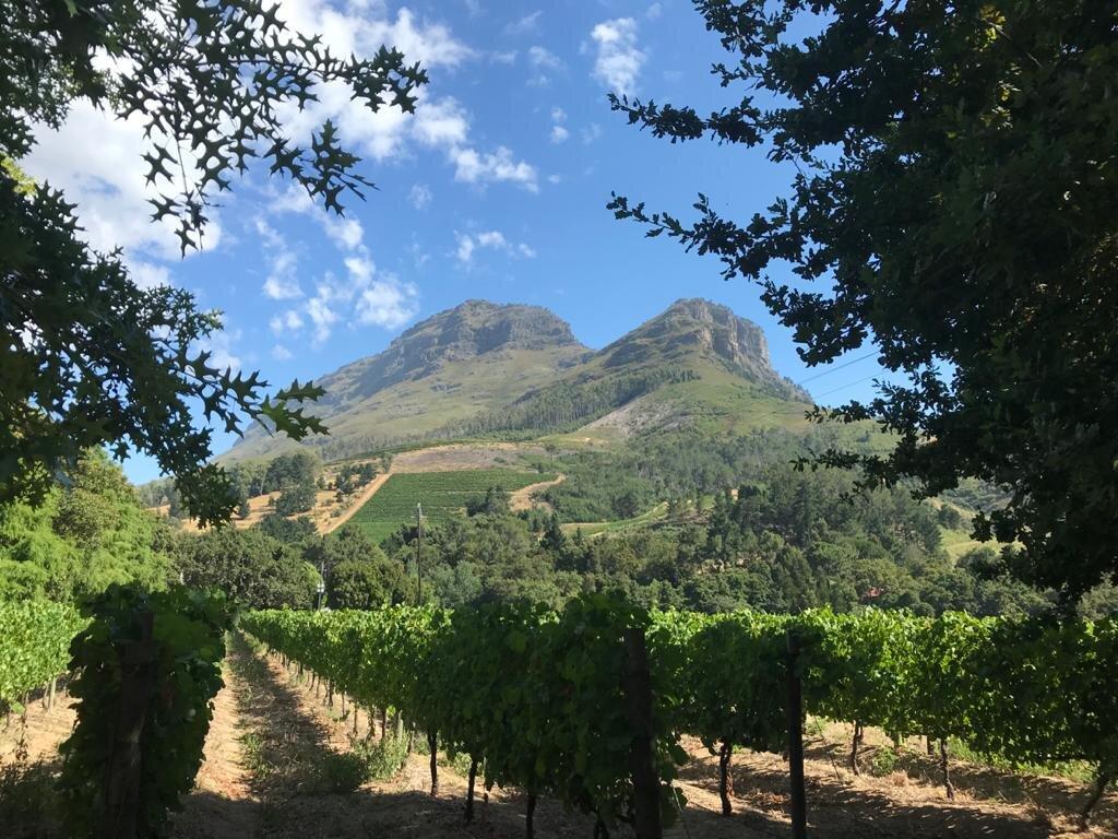 Guided Vineyard Hike Tour