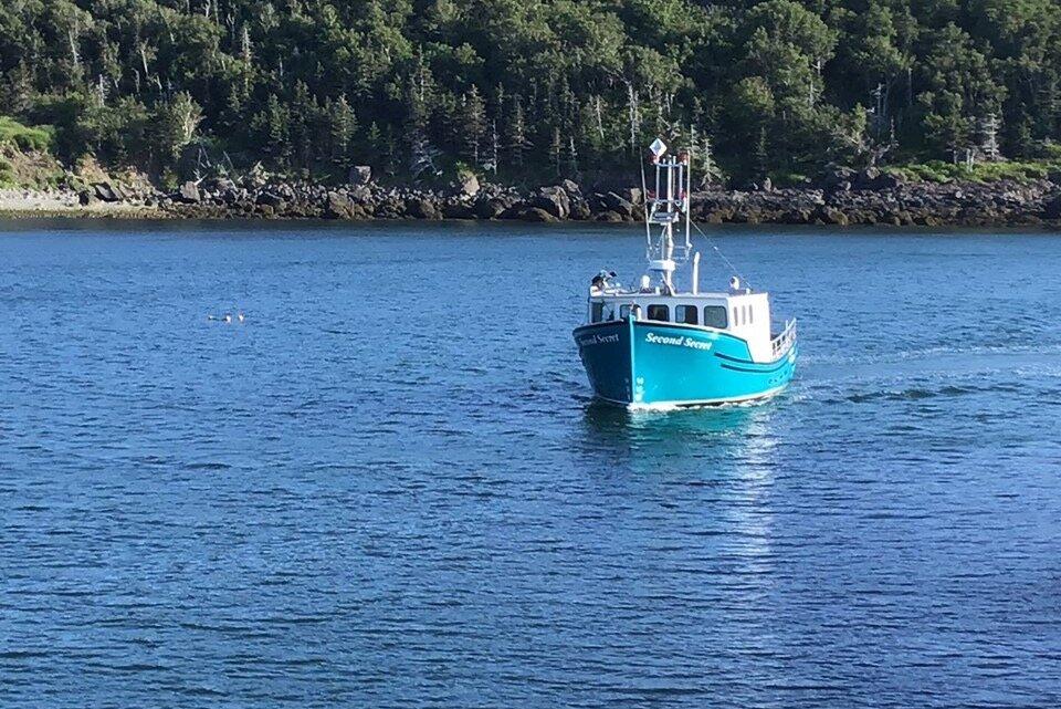 Bay of Fundy Scenic Lobster Tours