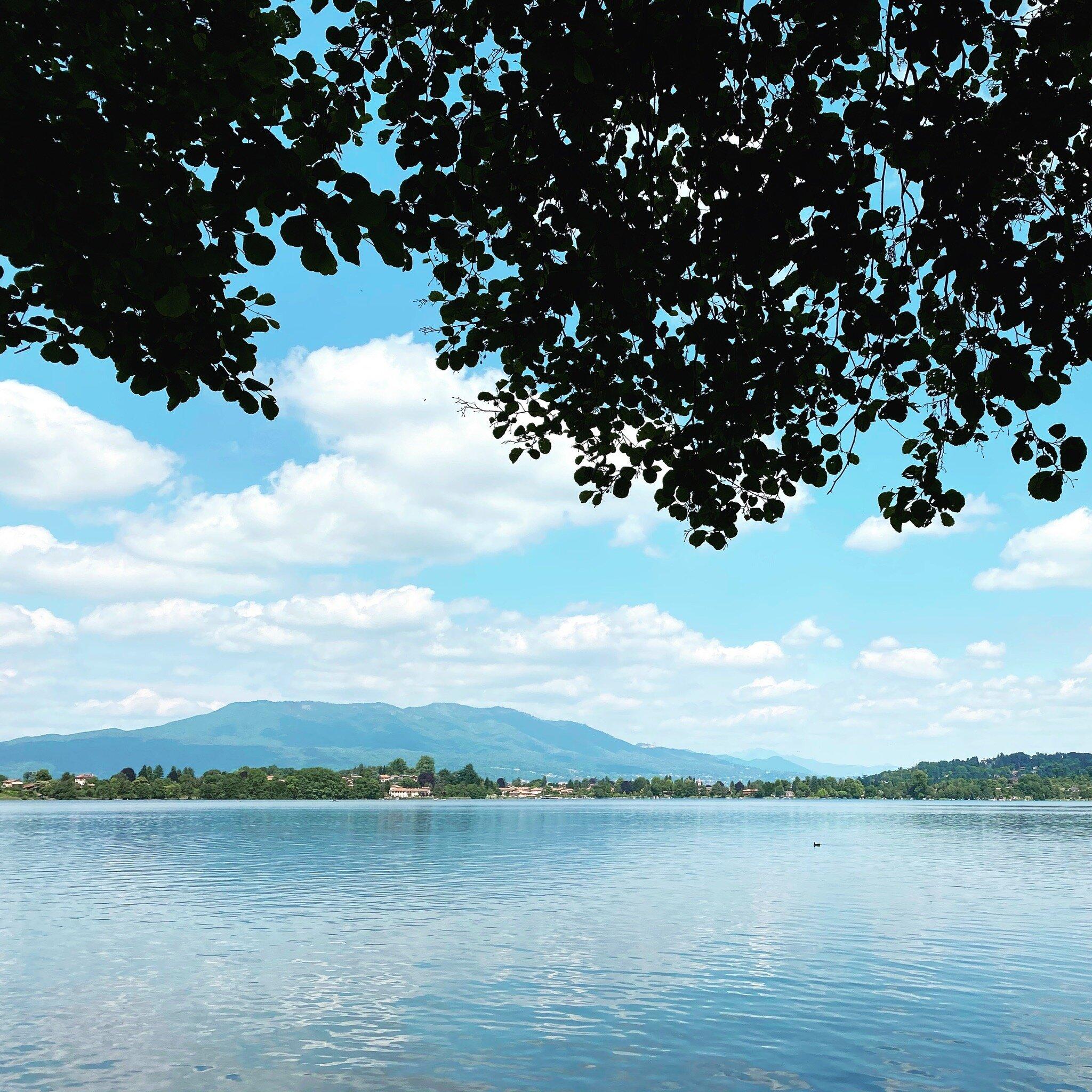 Il Larice Ristorante Pizzeria