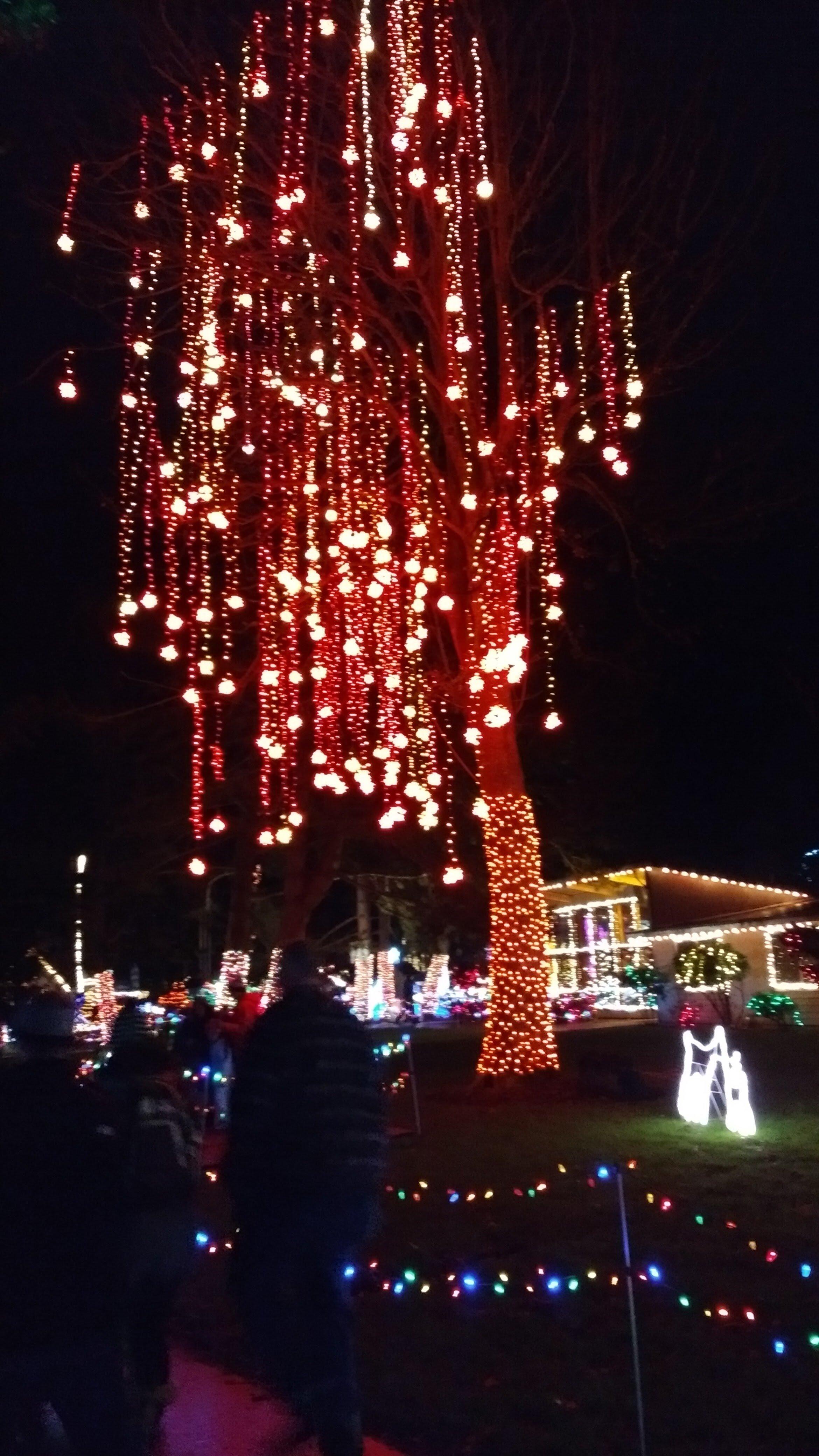 The Lights of Christmas