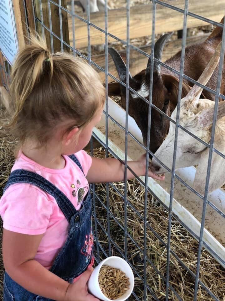 Southern Palmetto Farms