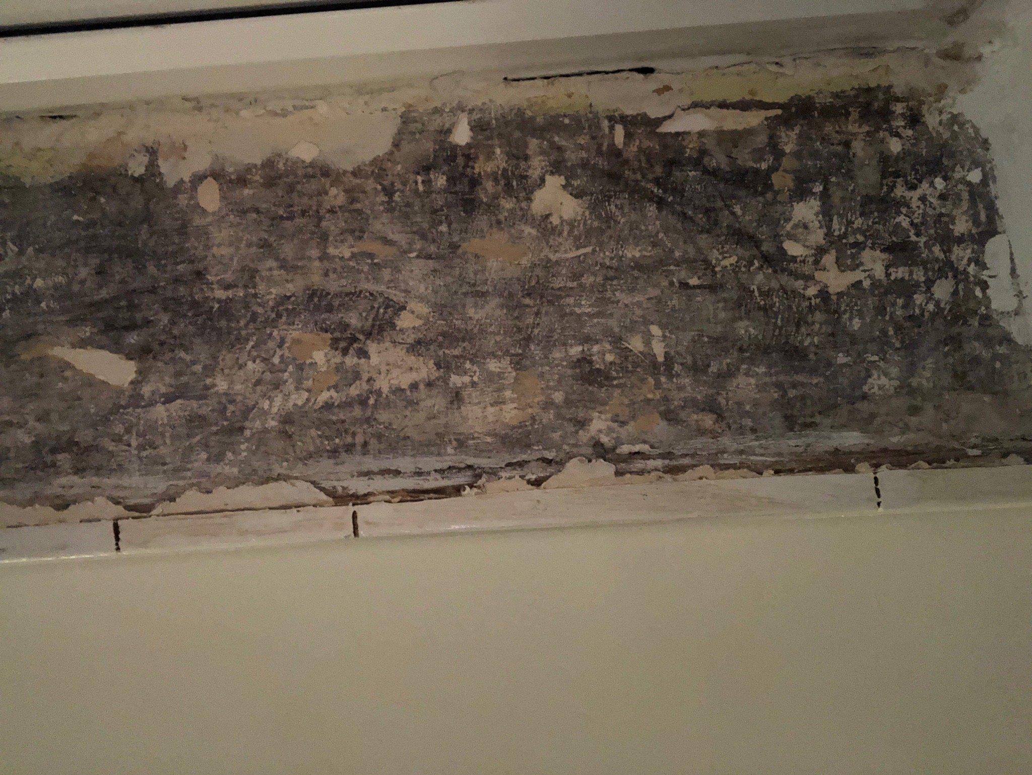 Montague House Apartments