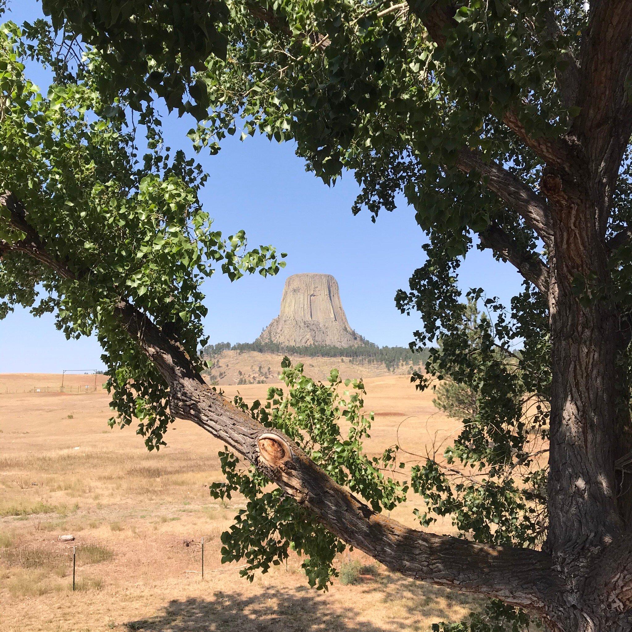 The Diamond Bar At Devils Tower