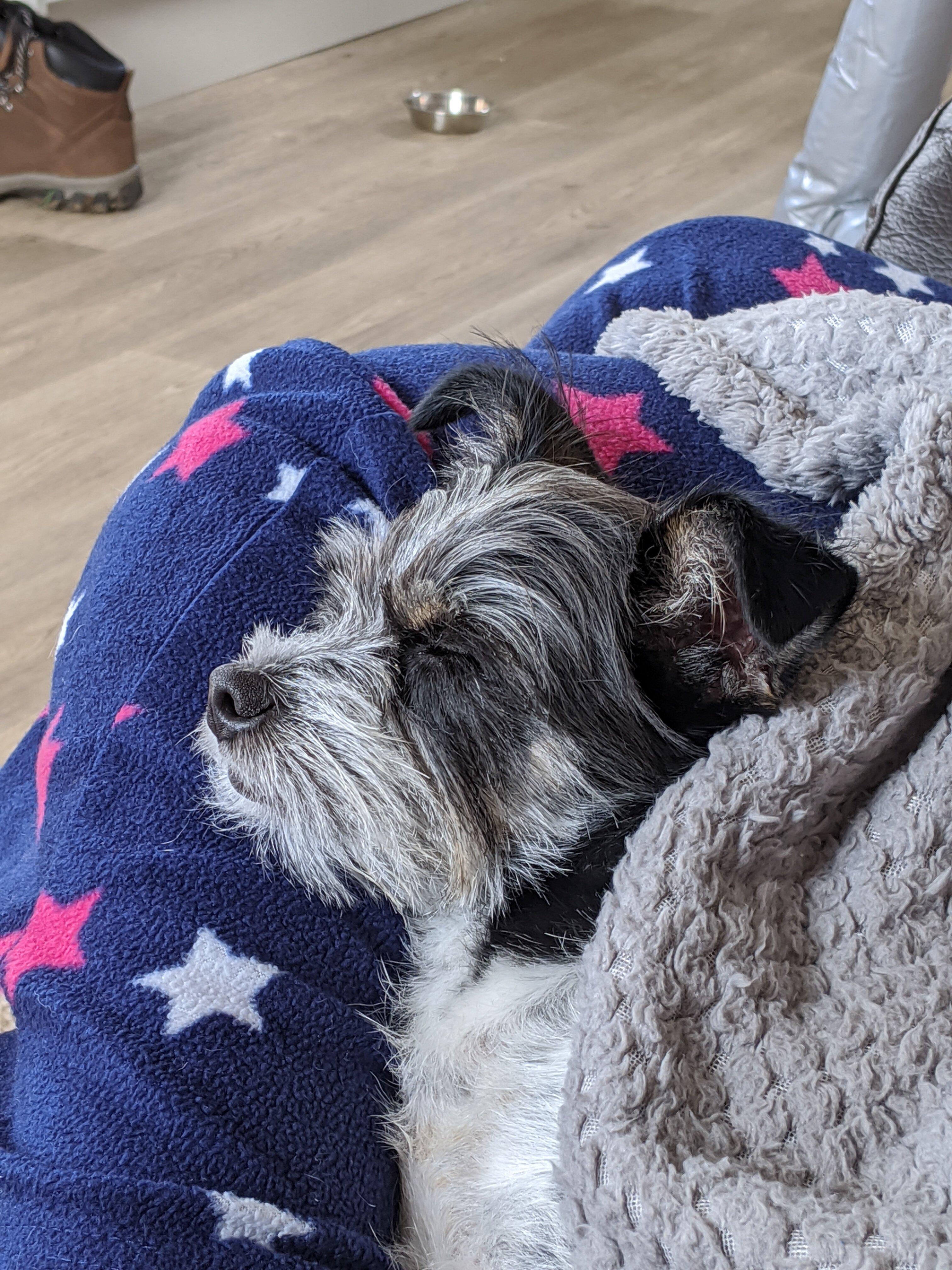 Photo by D4459XHmattw