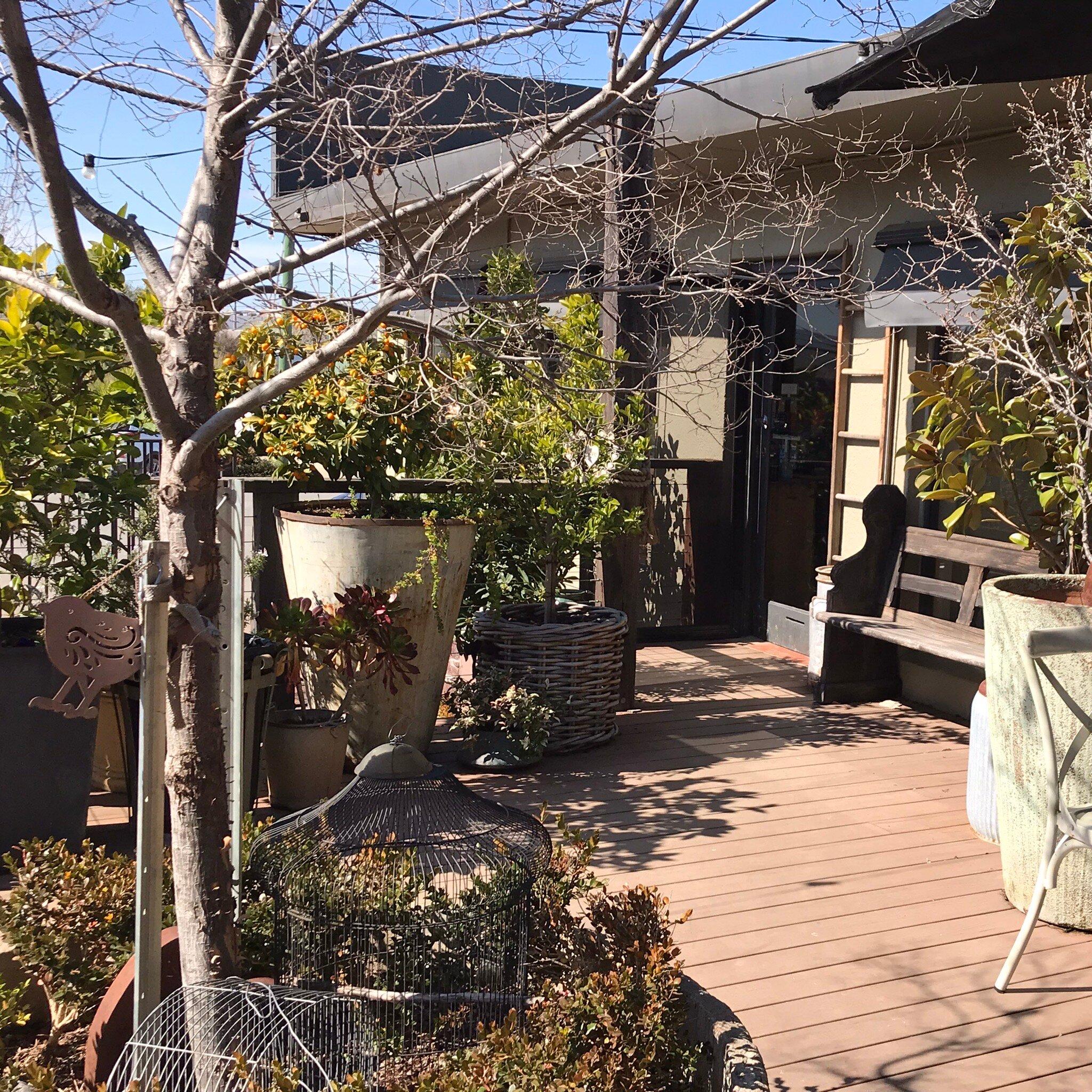 Jackson's Bakery & Cafe