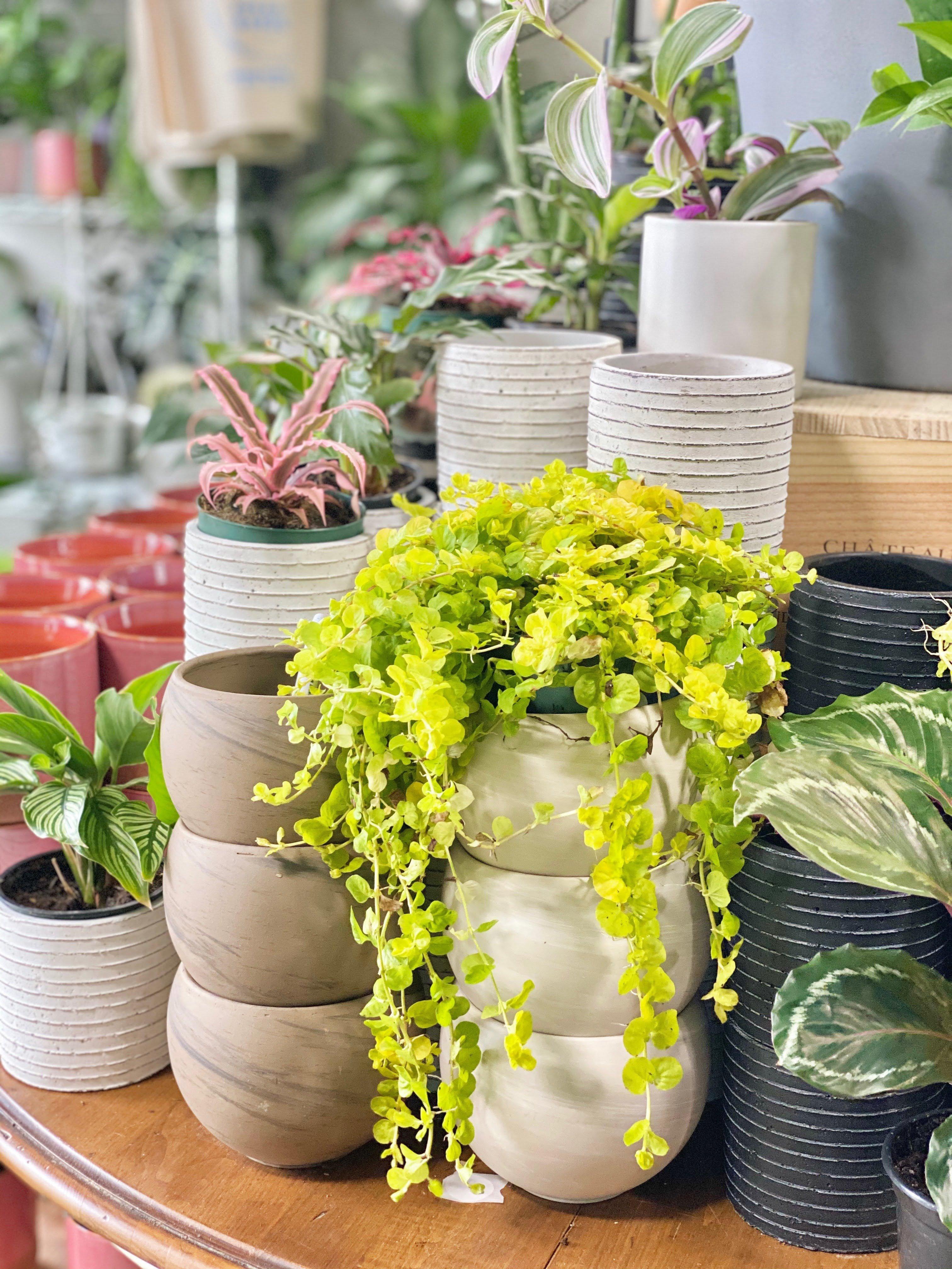 Photo by Navigator43672261333