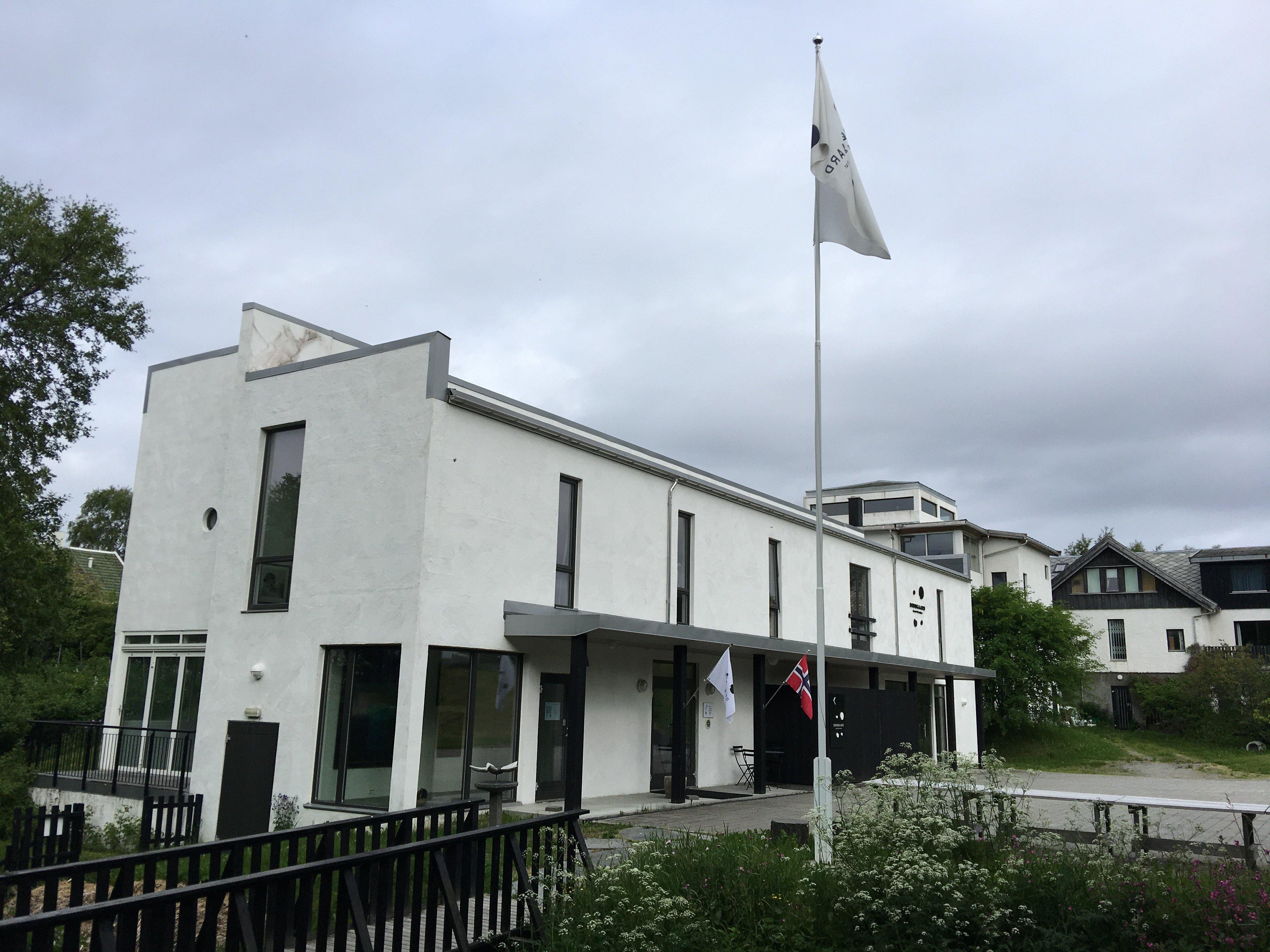 Harald Bodogaard -Art & culture