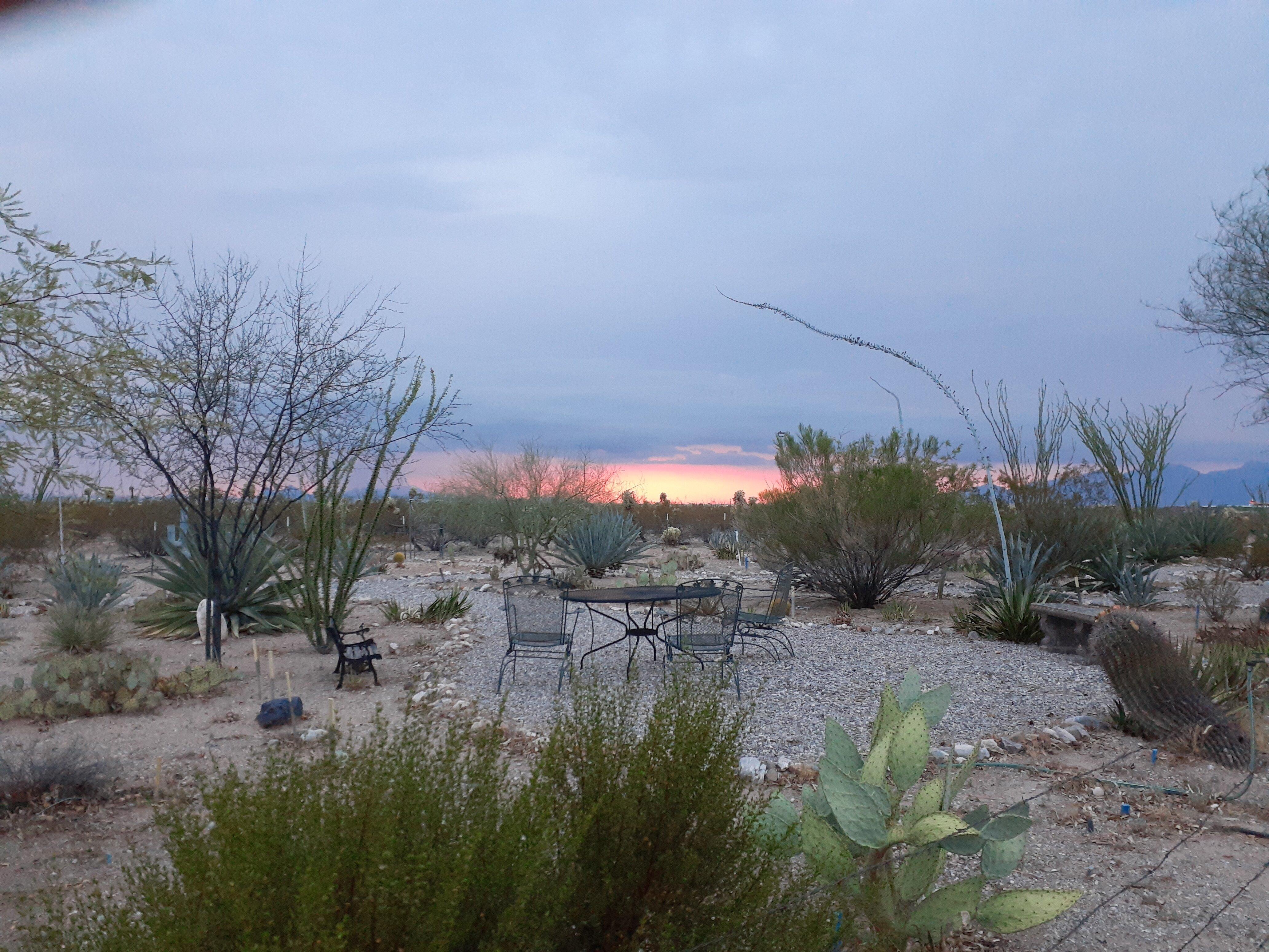 Cactus Country RV Park