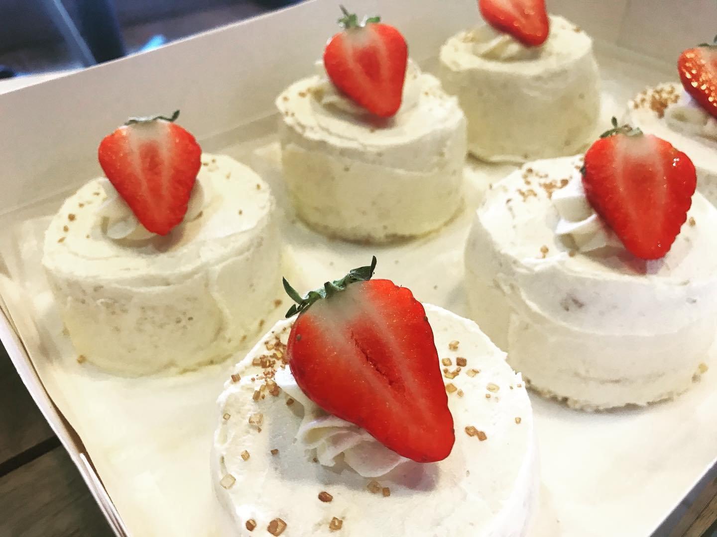 Grounded in the North