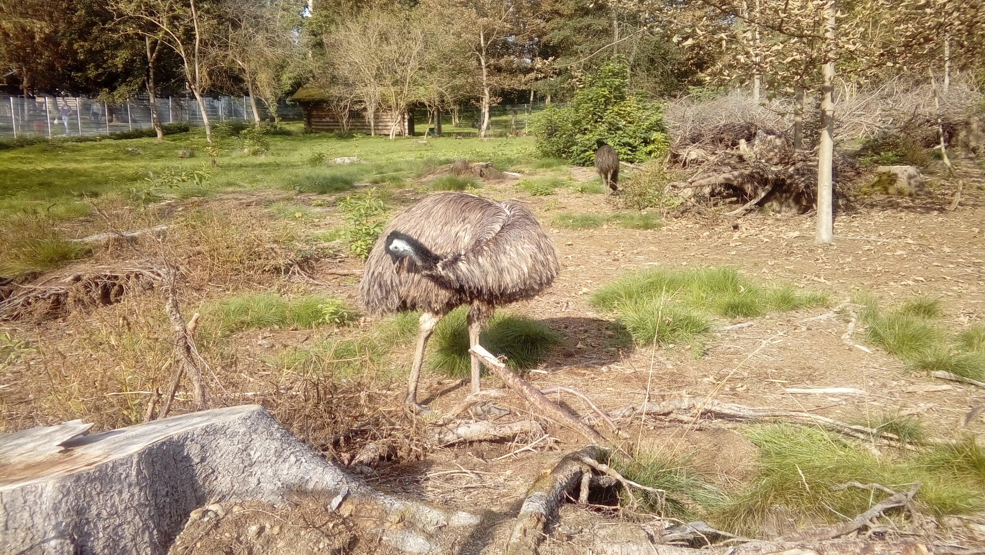 Tiergehege Zeulenroda-Triebes