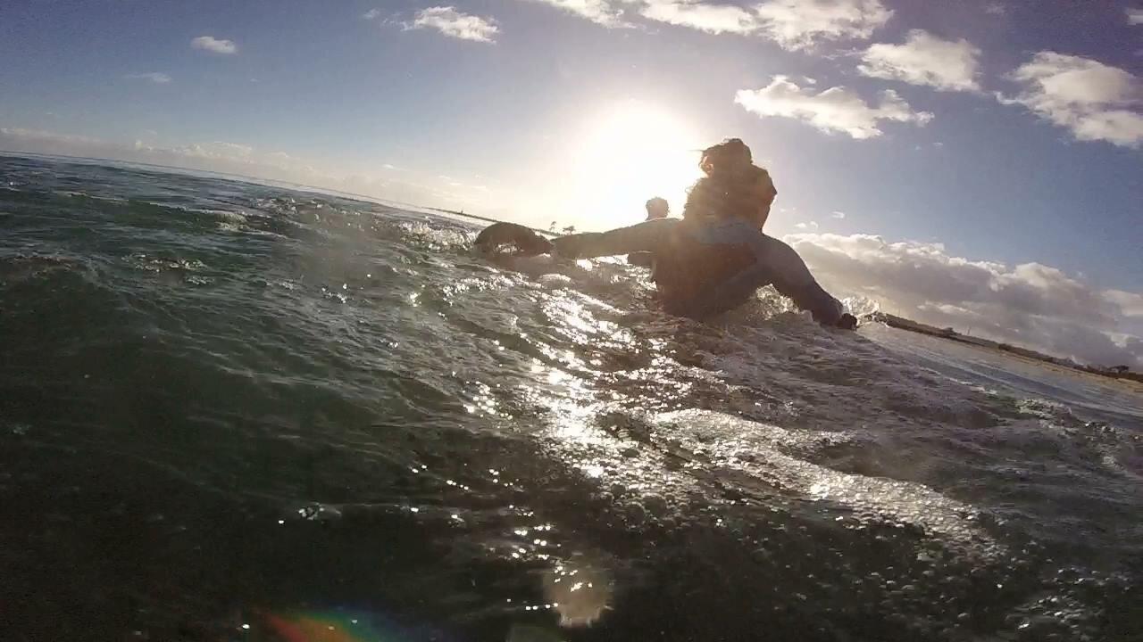 Seafitness, Aquasport & Yoga