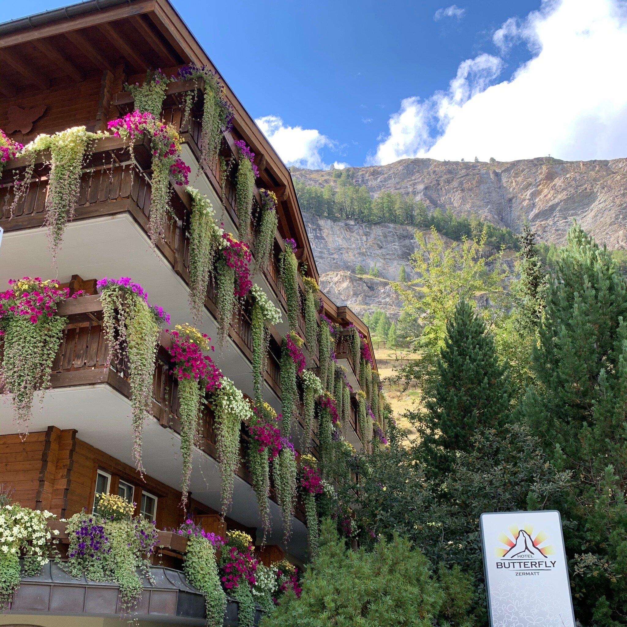 Photo by Flyer654410