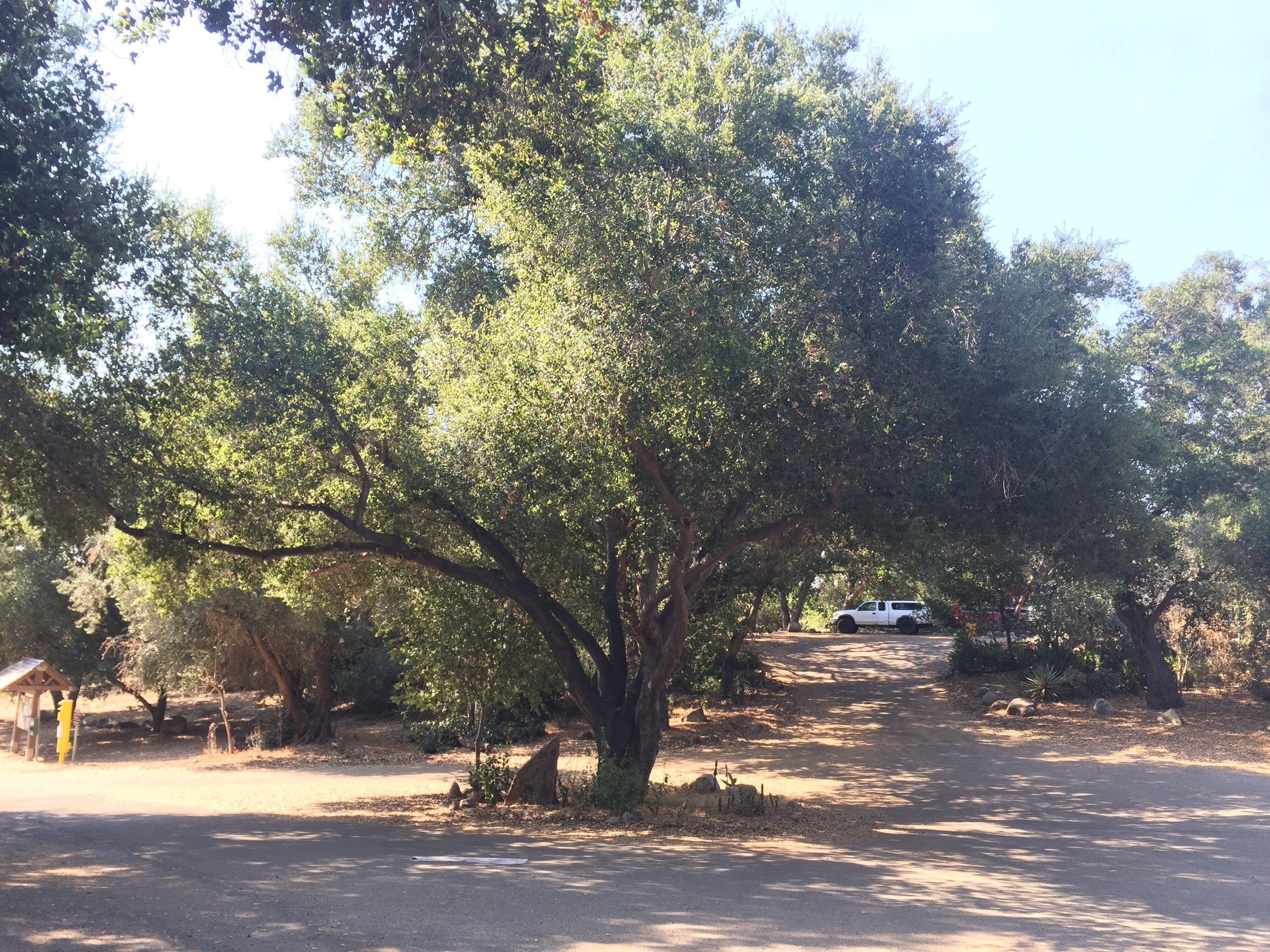 Photo by theplaceswherewego