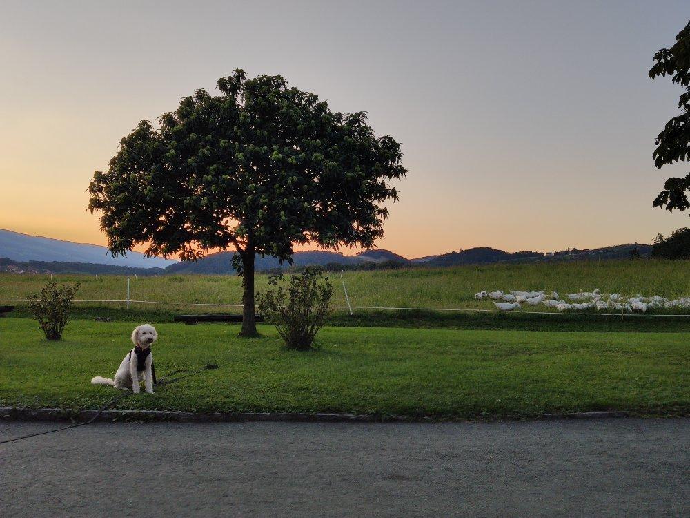 Bauernhof Kainer-Muhr
