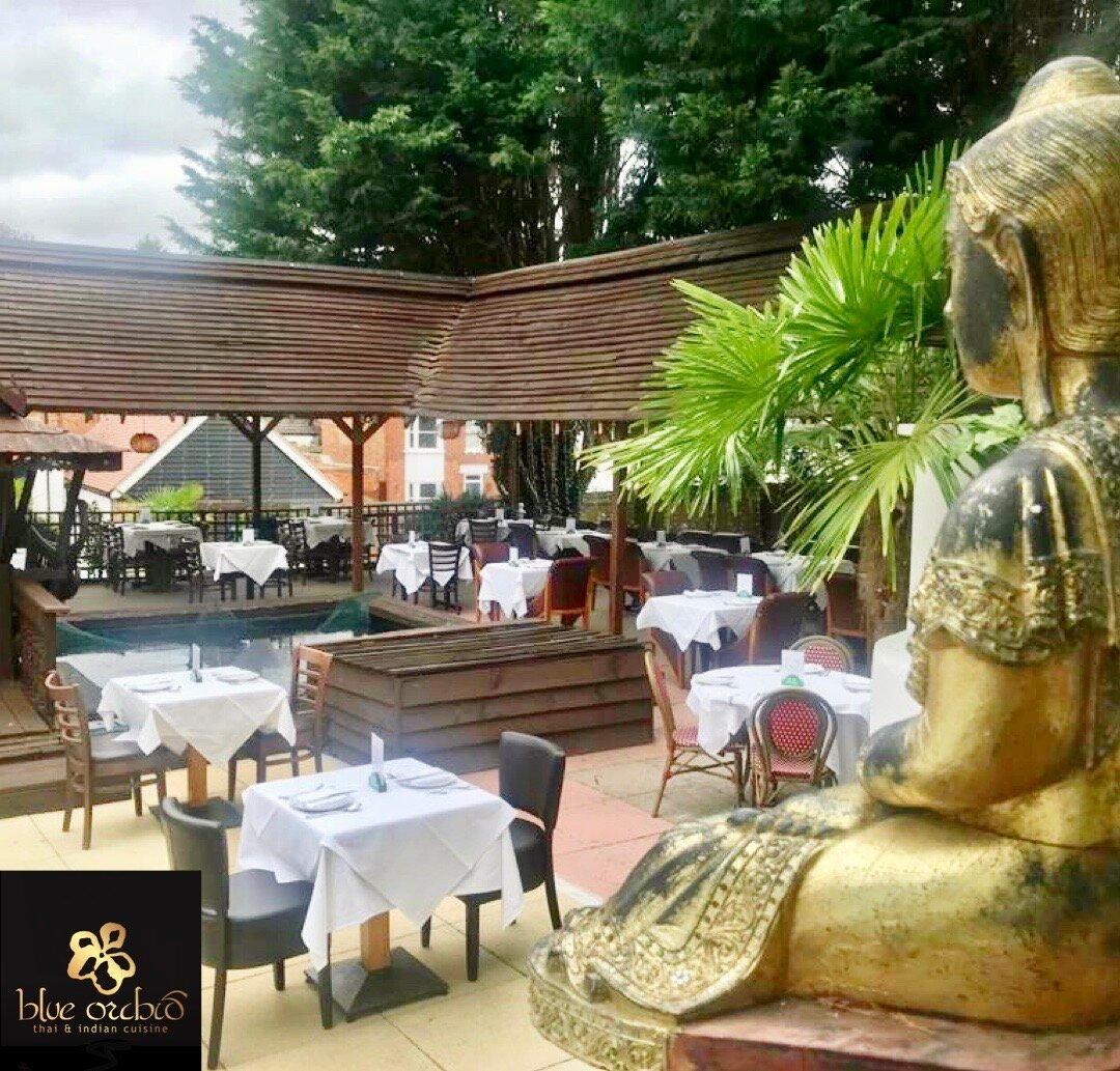 Blue Orchid Little India