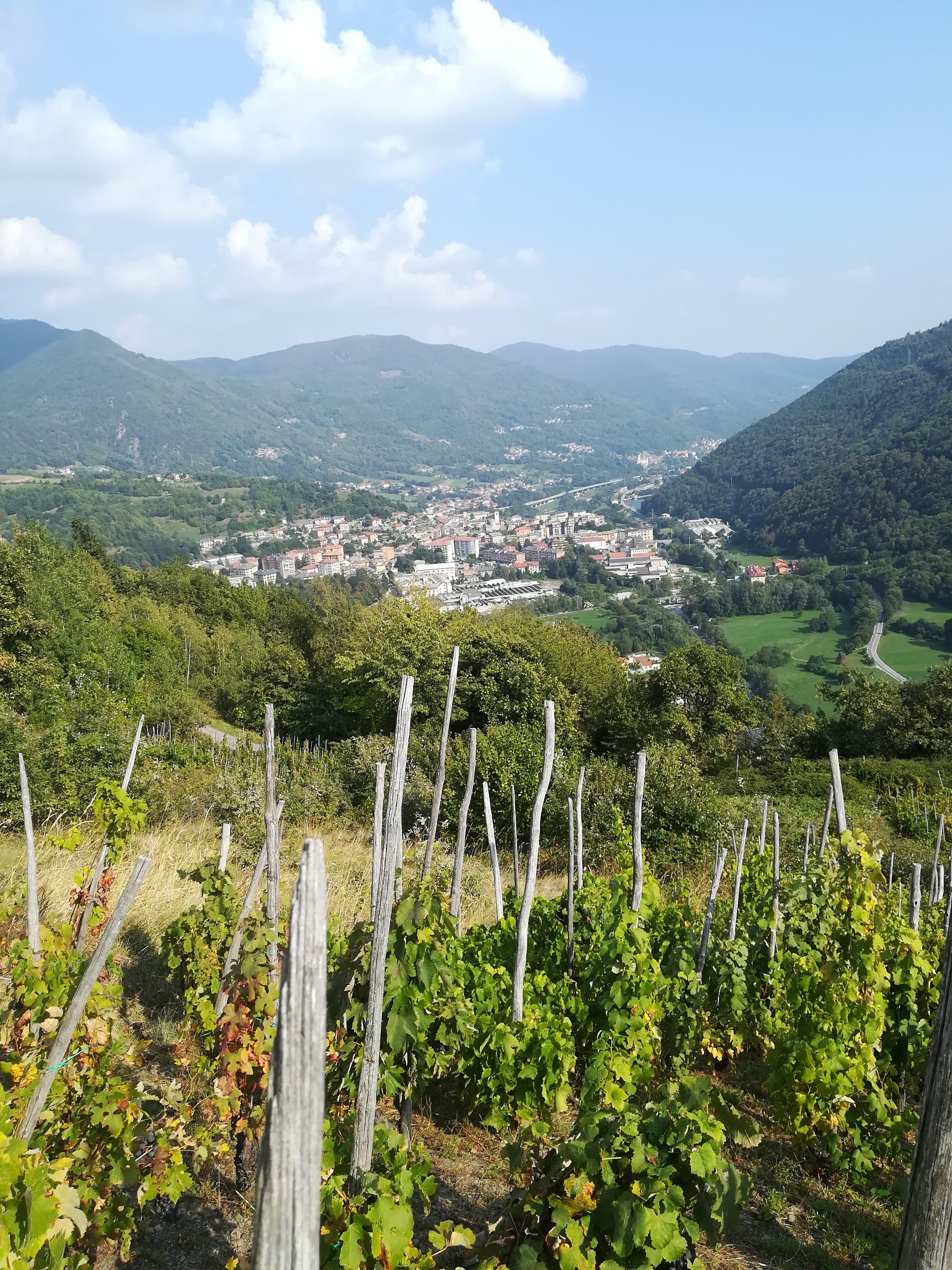 Sentiero del Vino Ramie