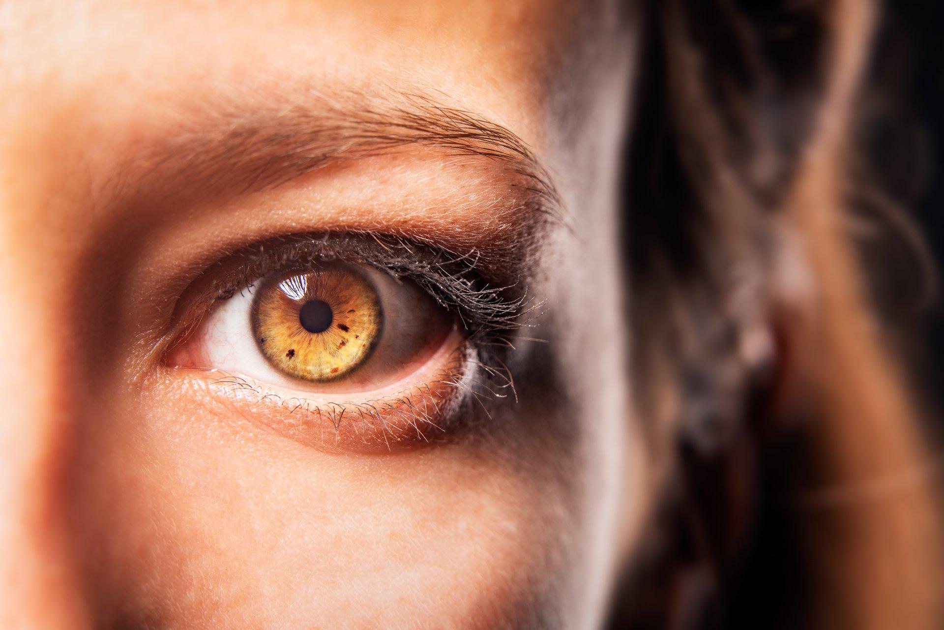 Irisphotographie Berlin