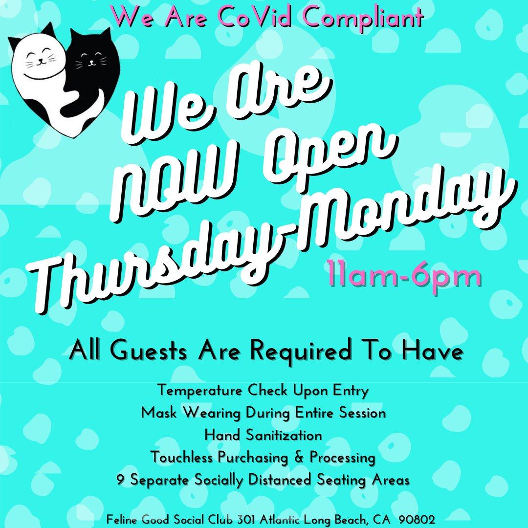 Feline Good Social Club