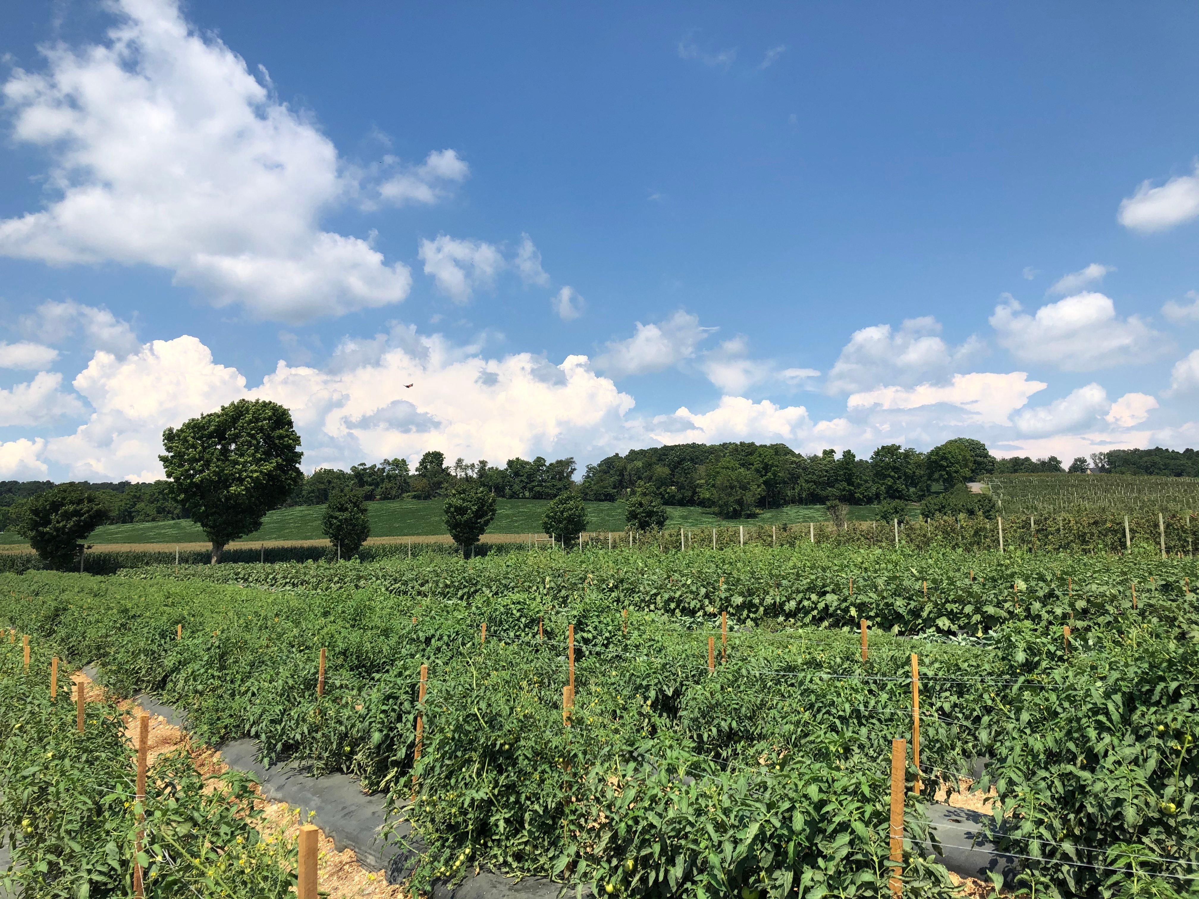 Grim's Orchard & Family Farms